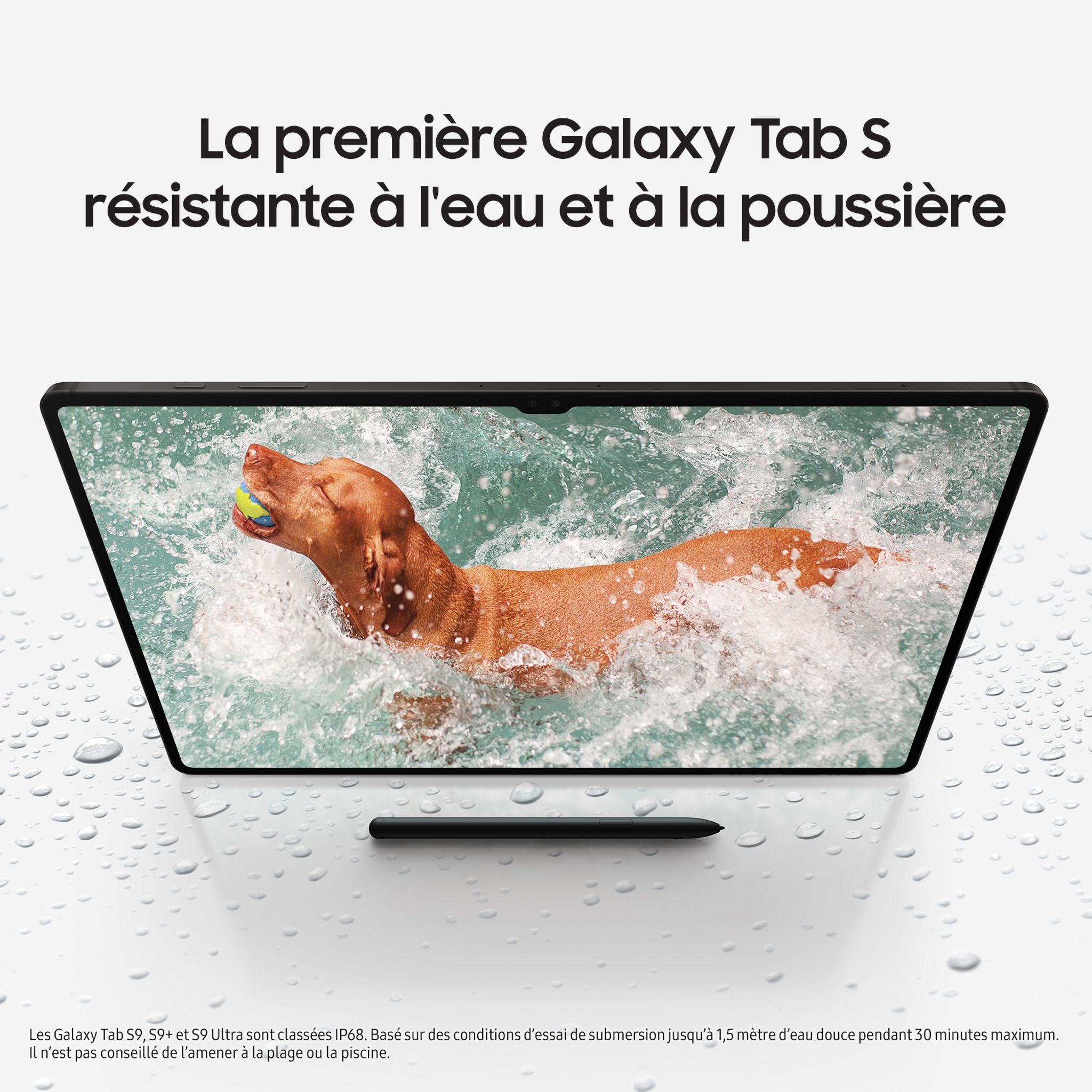Voir la diapositive 6 : SAMSUNG Tablette tactile S9+ avec Galaxy AI - 12.4 pouces - 256 GO - Anthracite