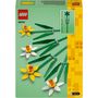 Voir la diapositive 8 : LEGO Creator 40747 Les Jonquilles, Kit de Construction de Fleurs Artificielles, Cadeau pour Adolescentes et Enfants