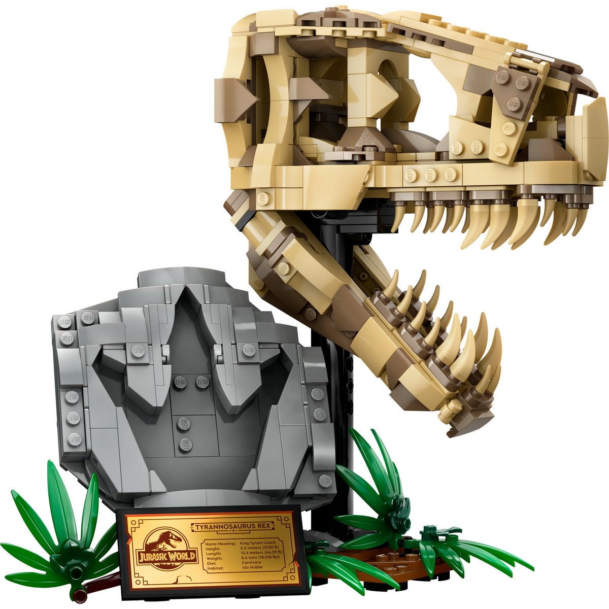 LEGO Jurassic World 76964 Les Fossiles de Dinosaures : Le Crâne du T. Rex, Jouet de Dino, Déco pour la Chambre d'Enfant