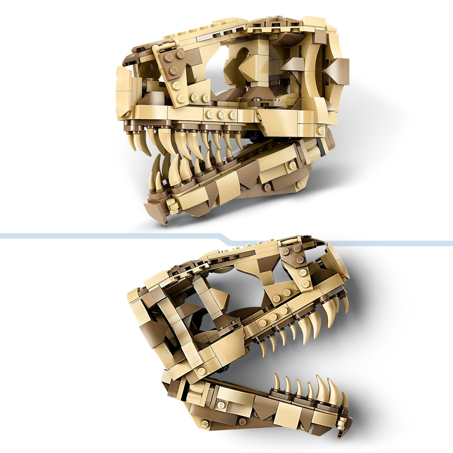 Voir la diapositive 4 : LEGO Jurassic World 76964 Les Fossiles de Dinosaures : Le Crâne du T. Rex, Jouet de Dino, Déco pour la Chambre d'Enfant