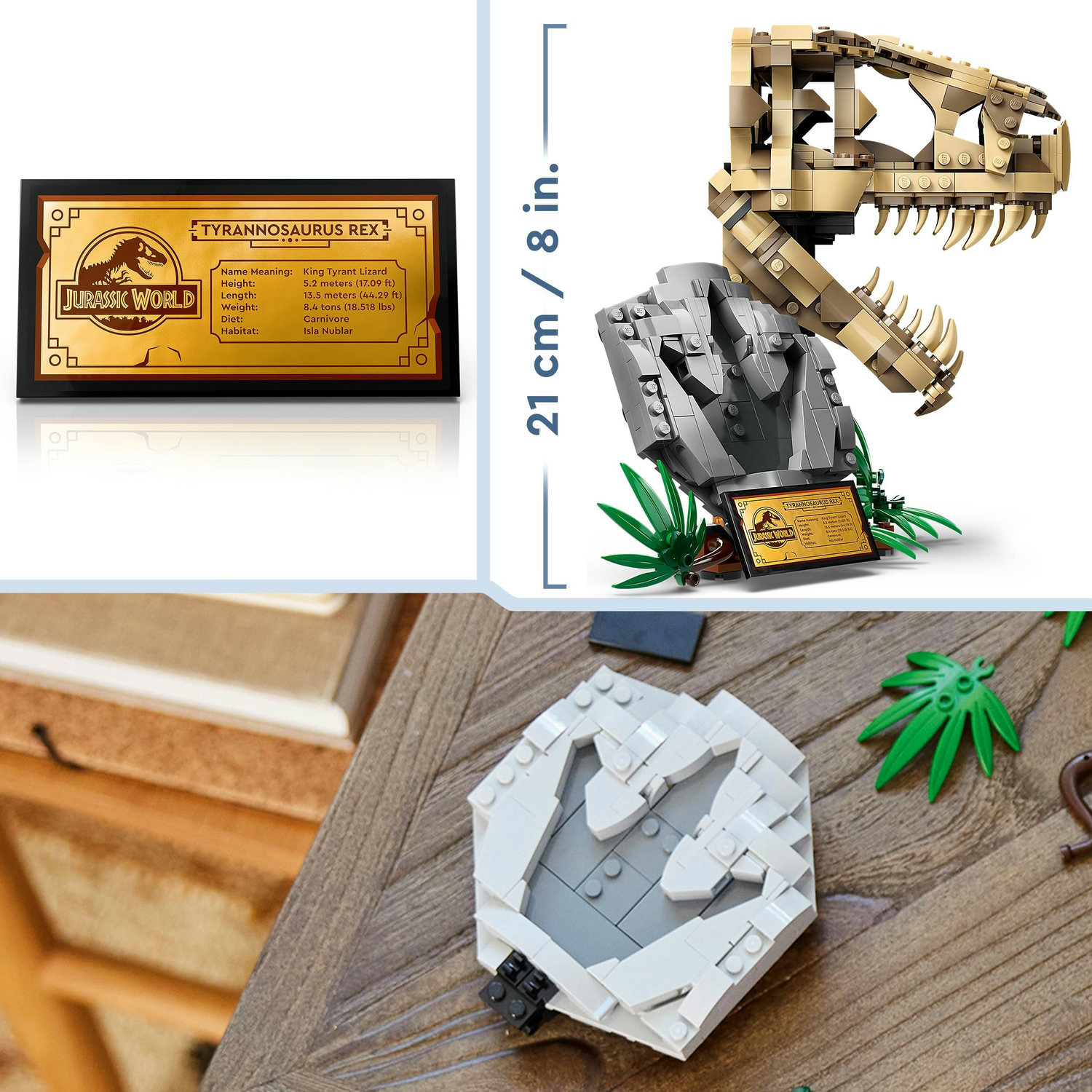 Voir la diapositive 5 : LEGO Jurassic World 76964 Les Fossiles de Dinosaures : Le Crâne du T. Rex, Jouet de Dino, Déco pour la Chambre d'Enfant