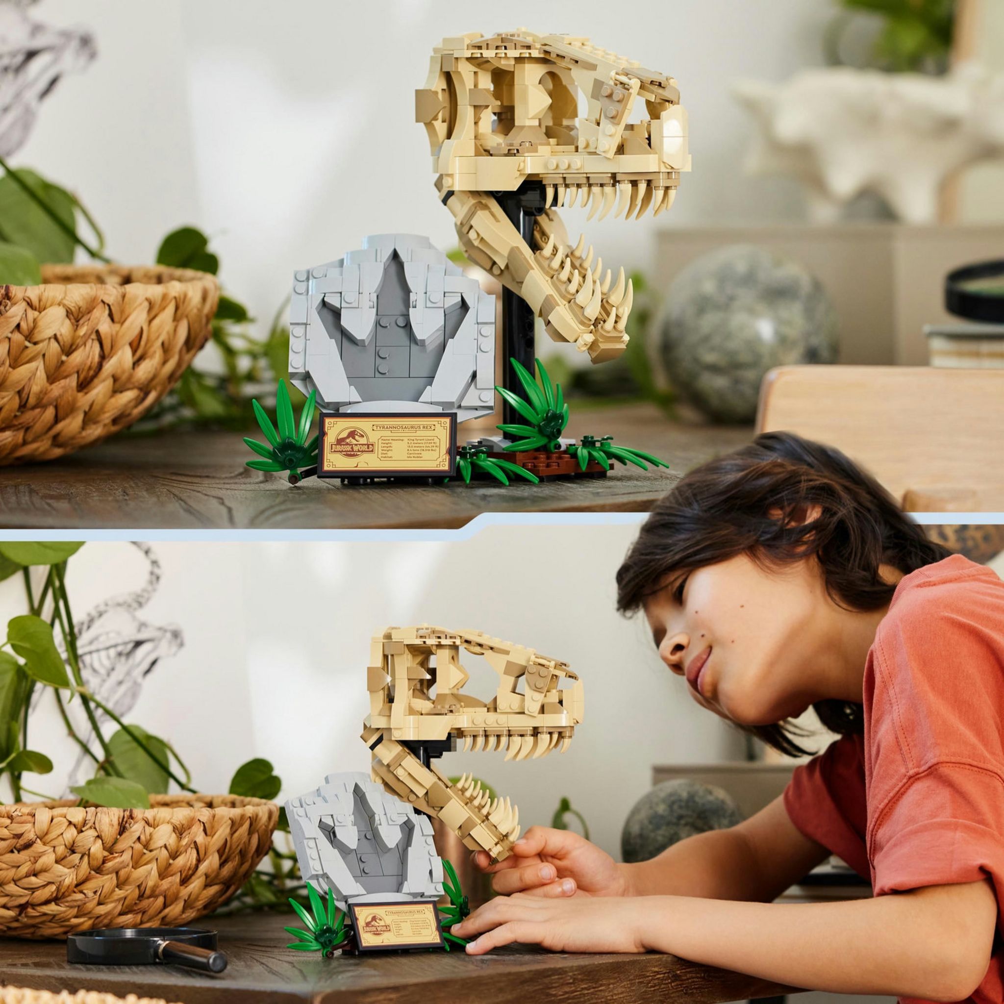 Voir la diapositive 6 : LEGO Jurassic World 76964 Les Fossiles de Dinosaures : Le Crâne du T. Rex, Jouet de Dino, Déco pour la Chambre d'Enfant