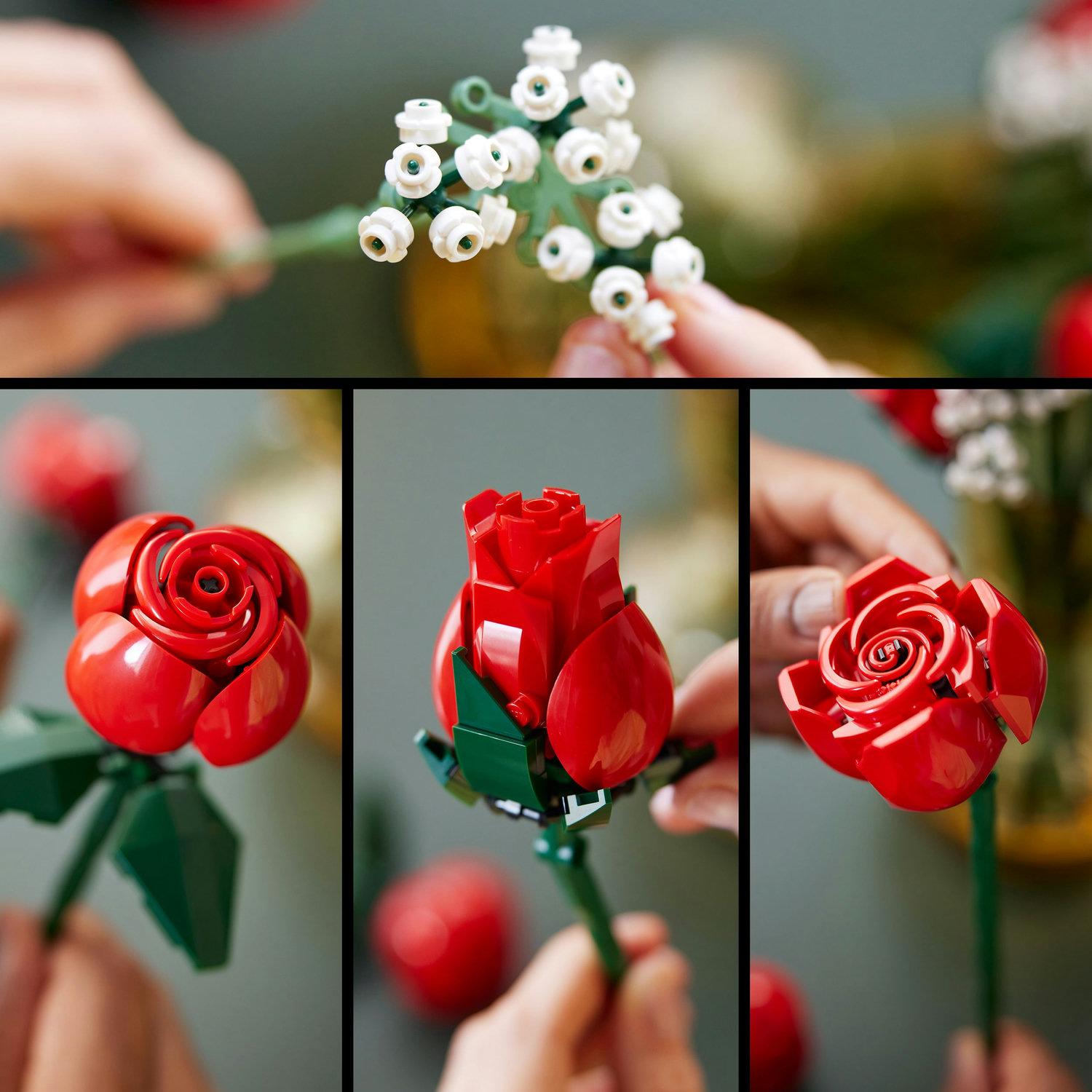 Voir la diapositive 7 : LEGO LEGO Botanicals 10328 Le Bouquet de Roses - Set de Fleurs Artificielles - Cadeau Adulte