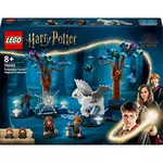 LEGO LEGO Harry Potter 76432  La Forêt Interdite : les Créatures Magiques, Jouet pour Enfants