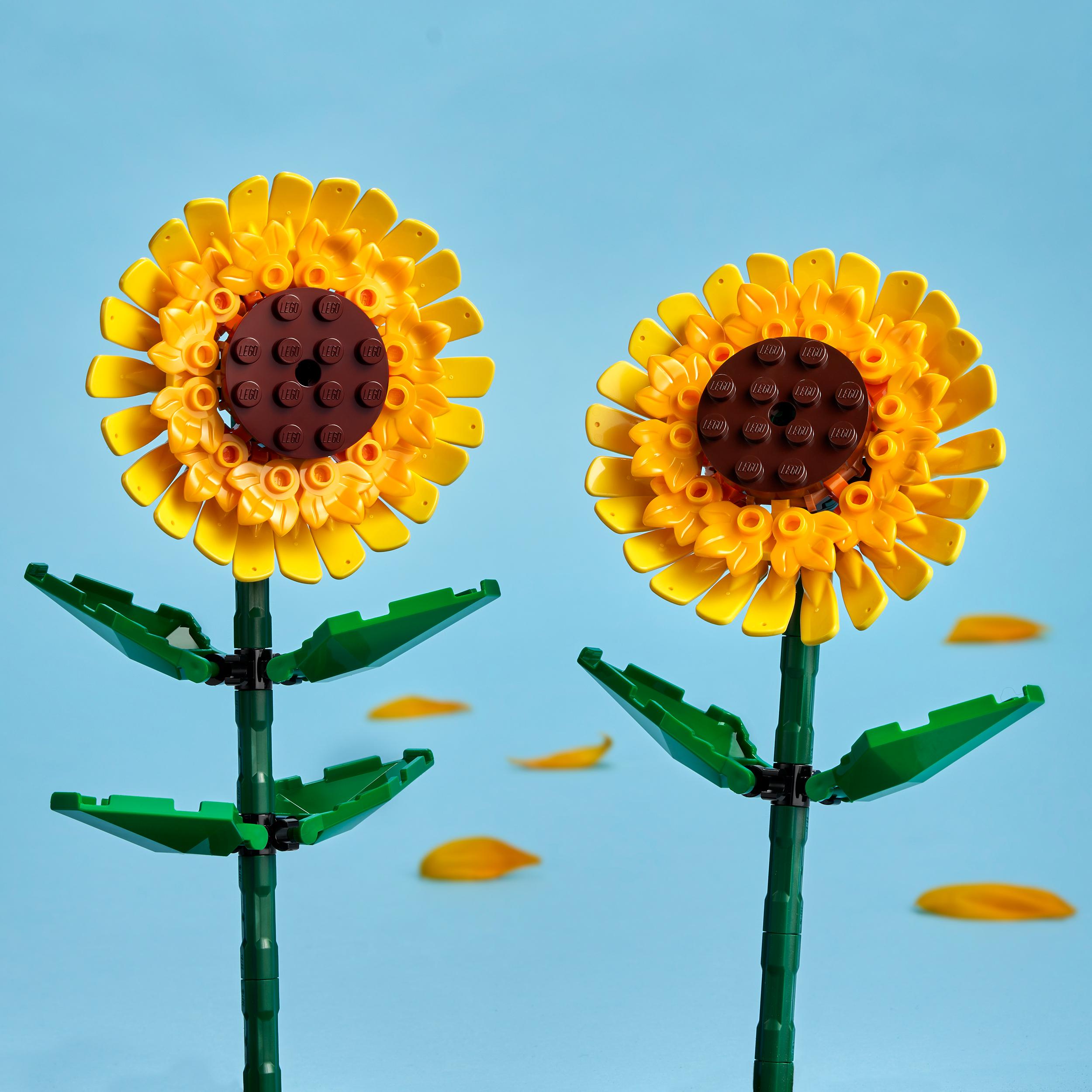 Voir la diapositive 5 : LEGO LEGO Botanicals 40524 Tournesols - Jeu de Construction de Fleurs Artificielles dès 8 ans