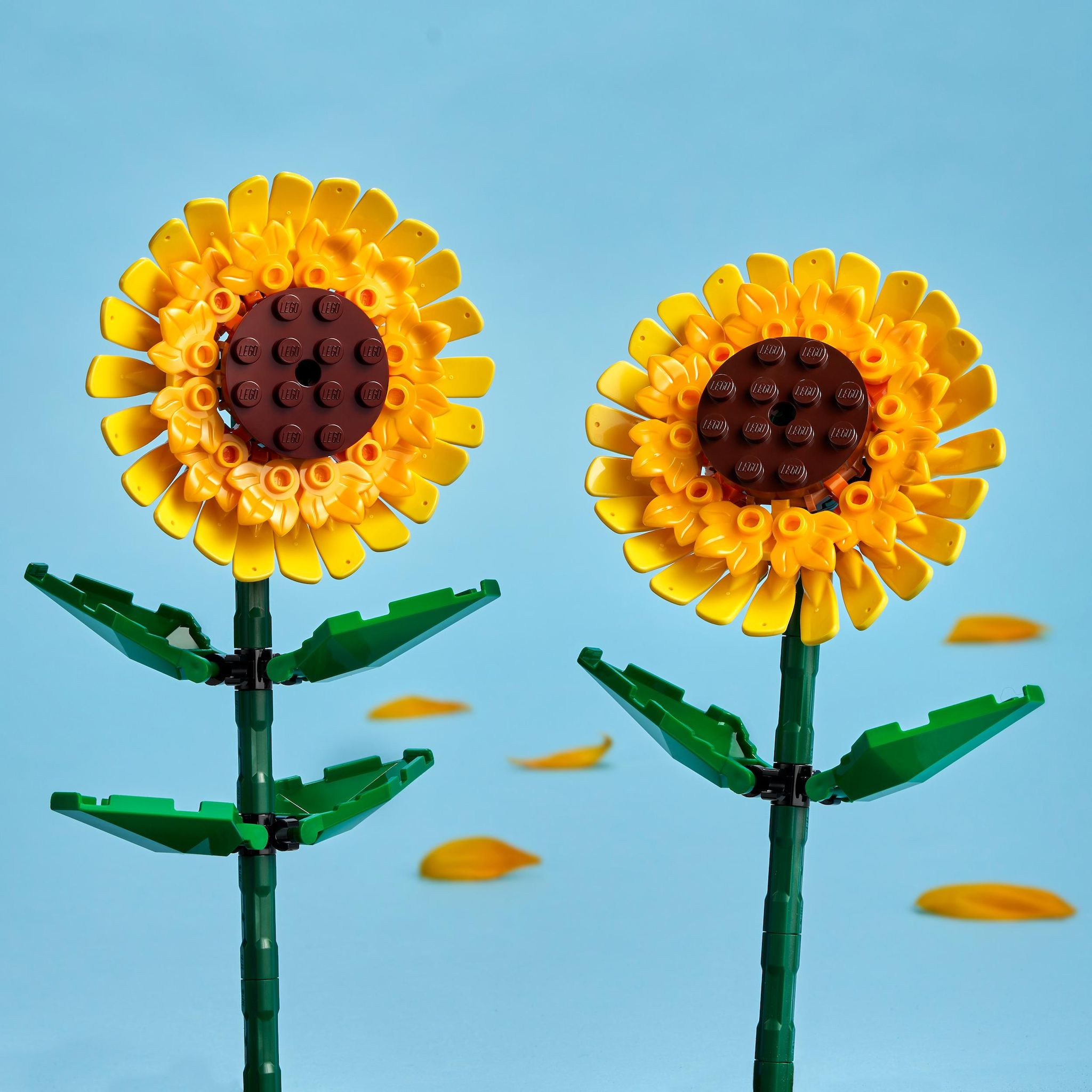Voir la diapositive 5 : LEGO Botanicals 40524 Tournesols - Jeu de Construction de Fleurs Artificielles dès 8 ans