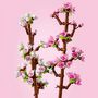 Voir la diapositive 4 : LEGO Creator 40725 Les Fleurs de Cerisier, Décoration de Chambre et Accessoire de Bureau, Modèle Bouquet de Fleurs