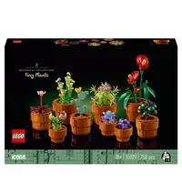 LEGO 10313 Icons Bouquet De Fleurs Sauvages, Plantes Artificielles avec  Coquelicots Et Lavande, Activité Manuelle pour Adulte