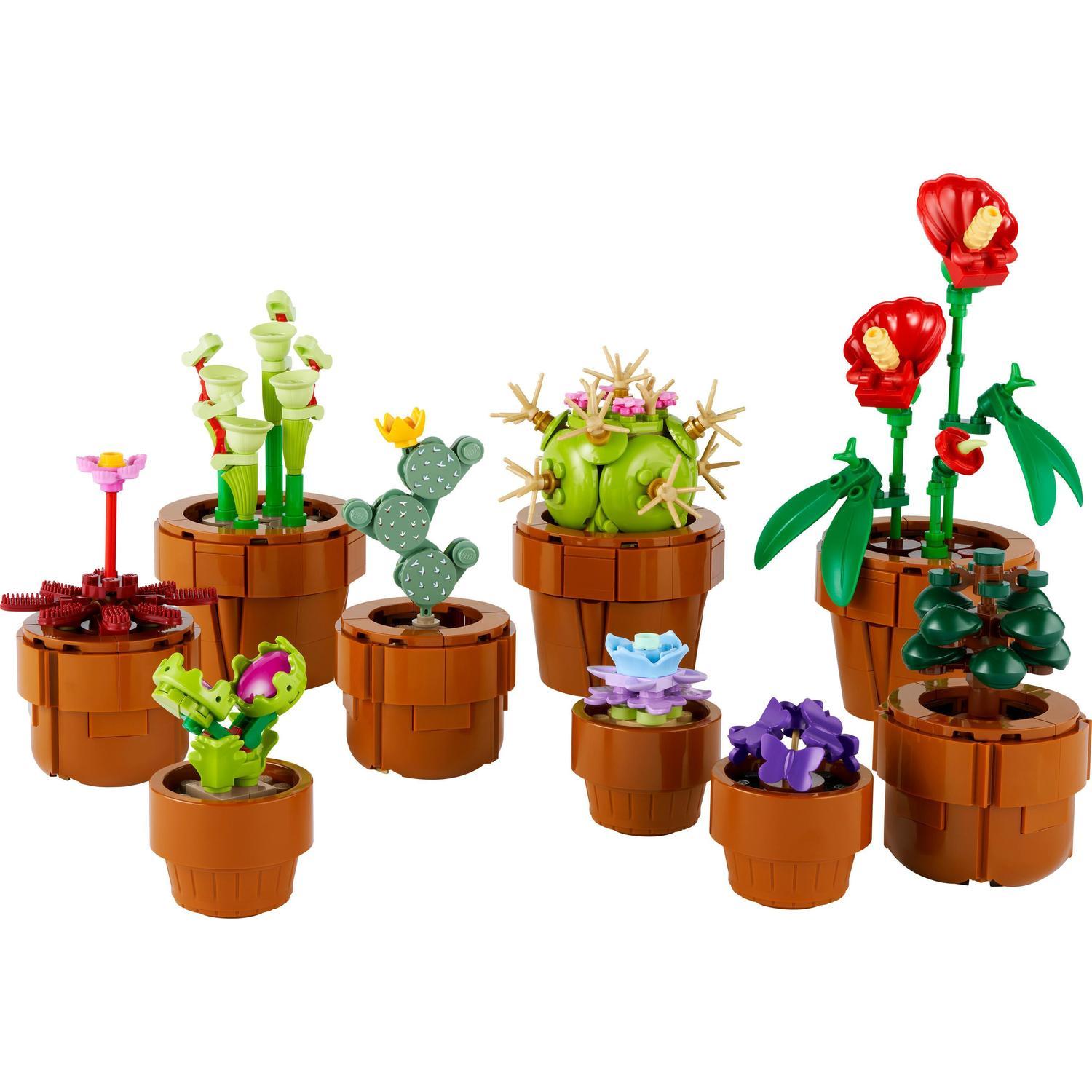 Voir la diapositive 2 : LEGO Botanicals 10329 Les Plantes Miniatures - Plantes Artificielles - Déco intérieure