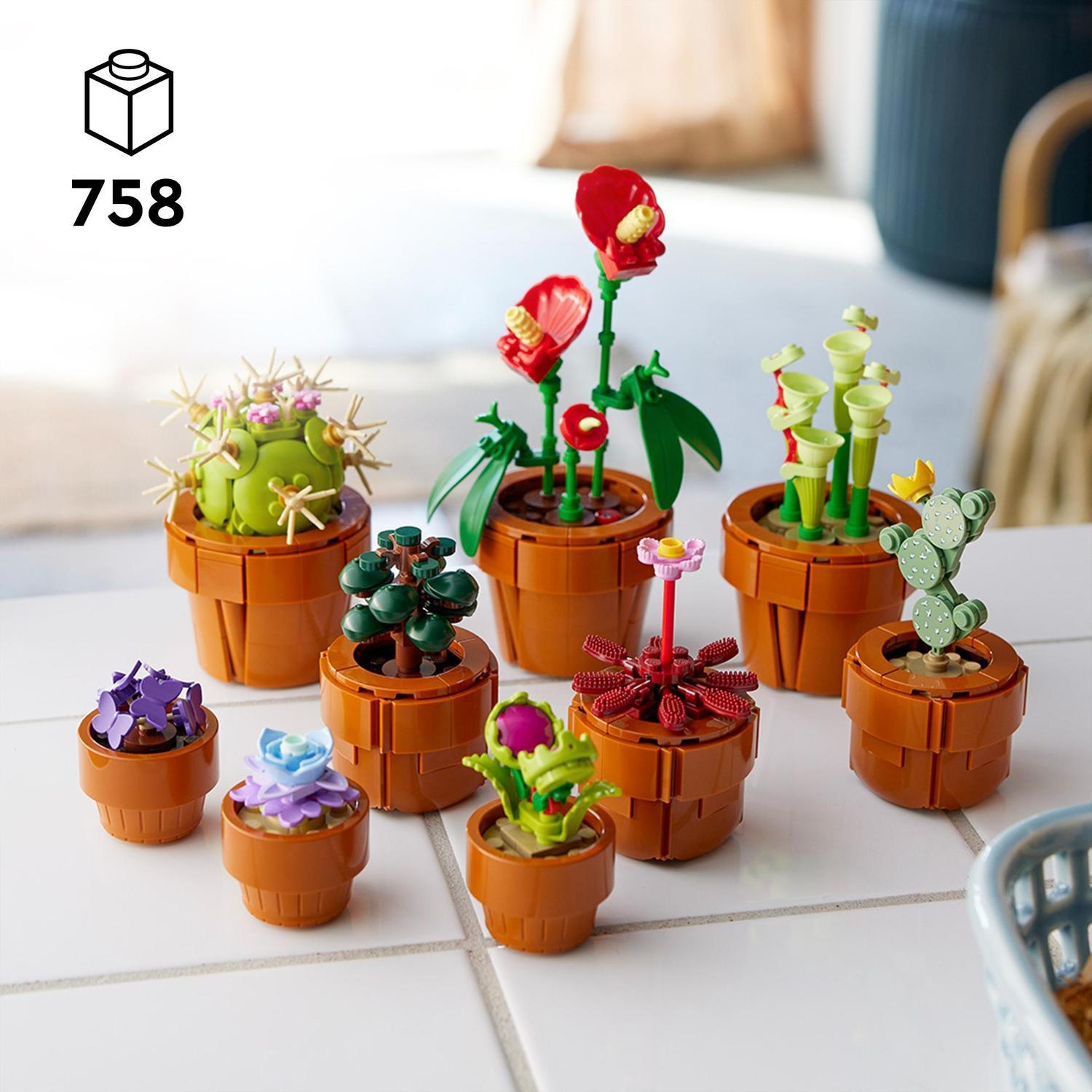 Voir la diapositive 3 : LEGO Botanicals 10329 Les Plantes Miniatures - Plantes Artificielles - Déco intérieure