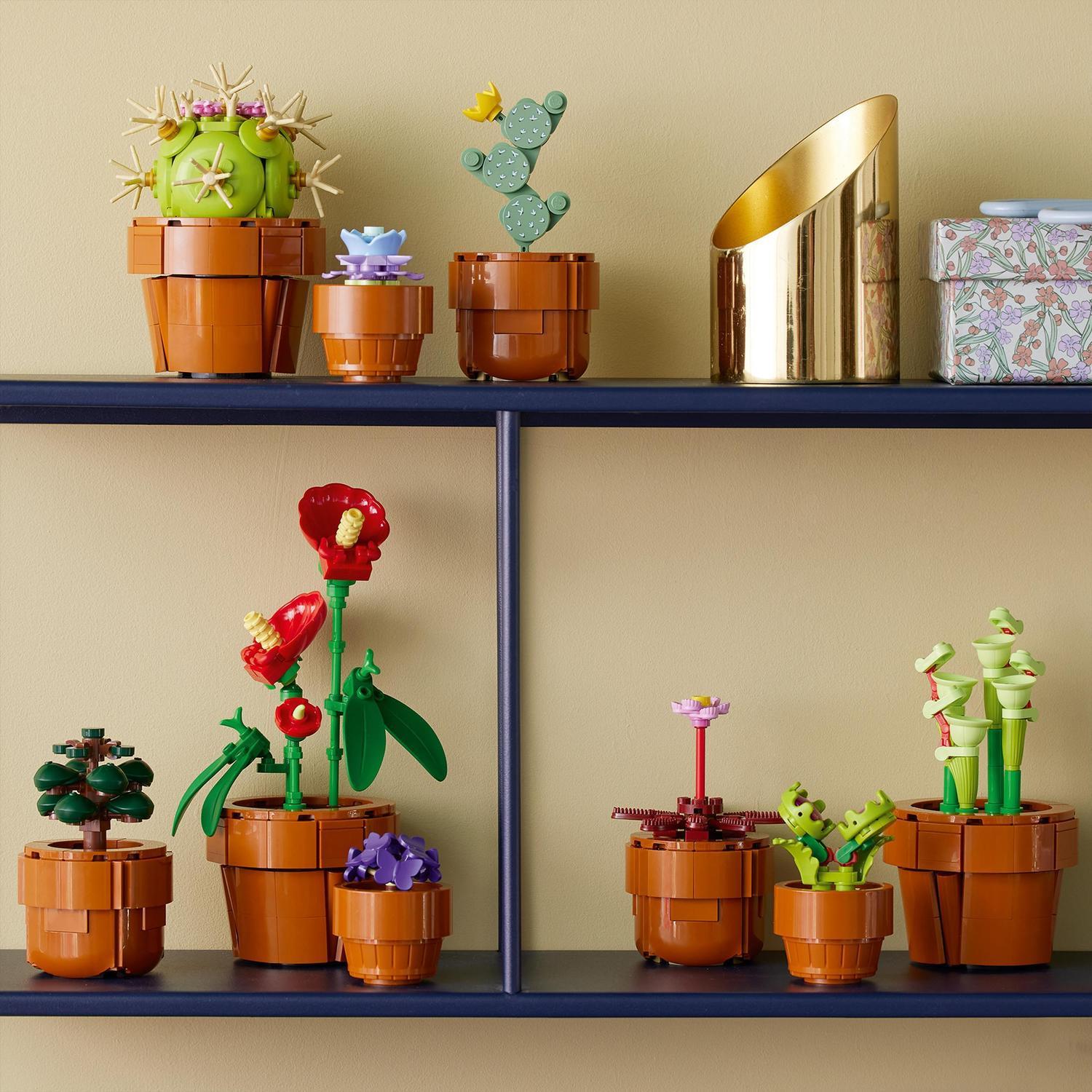 Voir la diapositive 4 : LEGO Botanicals 10329 Les Plantes Miniatures - Plantes Artificielles - Déco intérieure