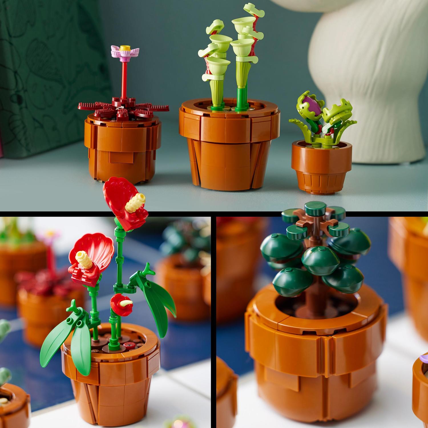 Voir la diapositive 5 : LEGO Botanicals 10329 Les Plantes Miniatures - Plantes Artificielles - Déco intérieure