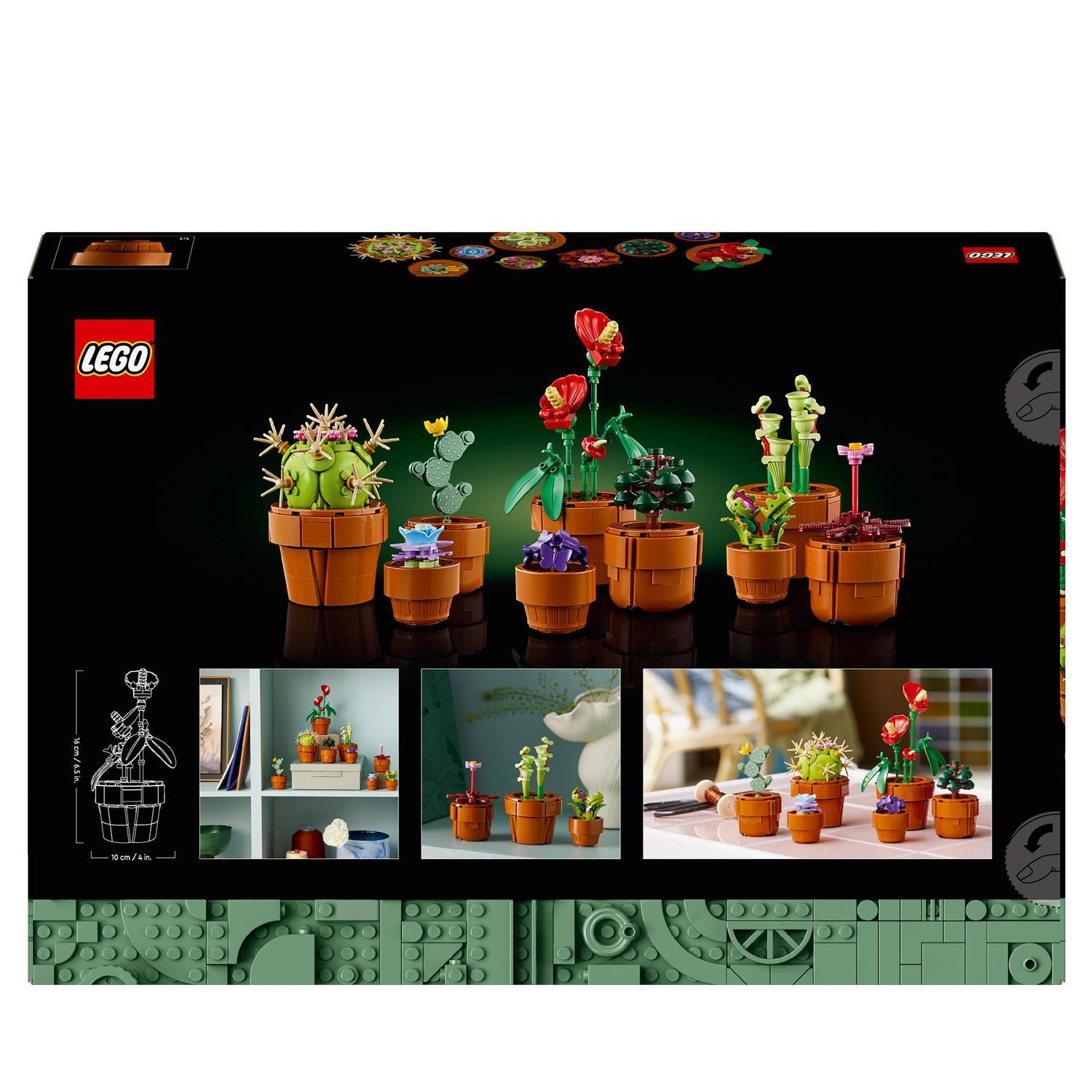 Voir la diapositive 8 : LEGO Botanicals 10329 Les Plantes Miniatures - Plantes Artificielles - Déco intérieure