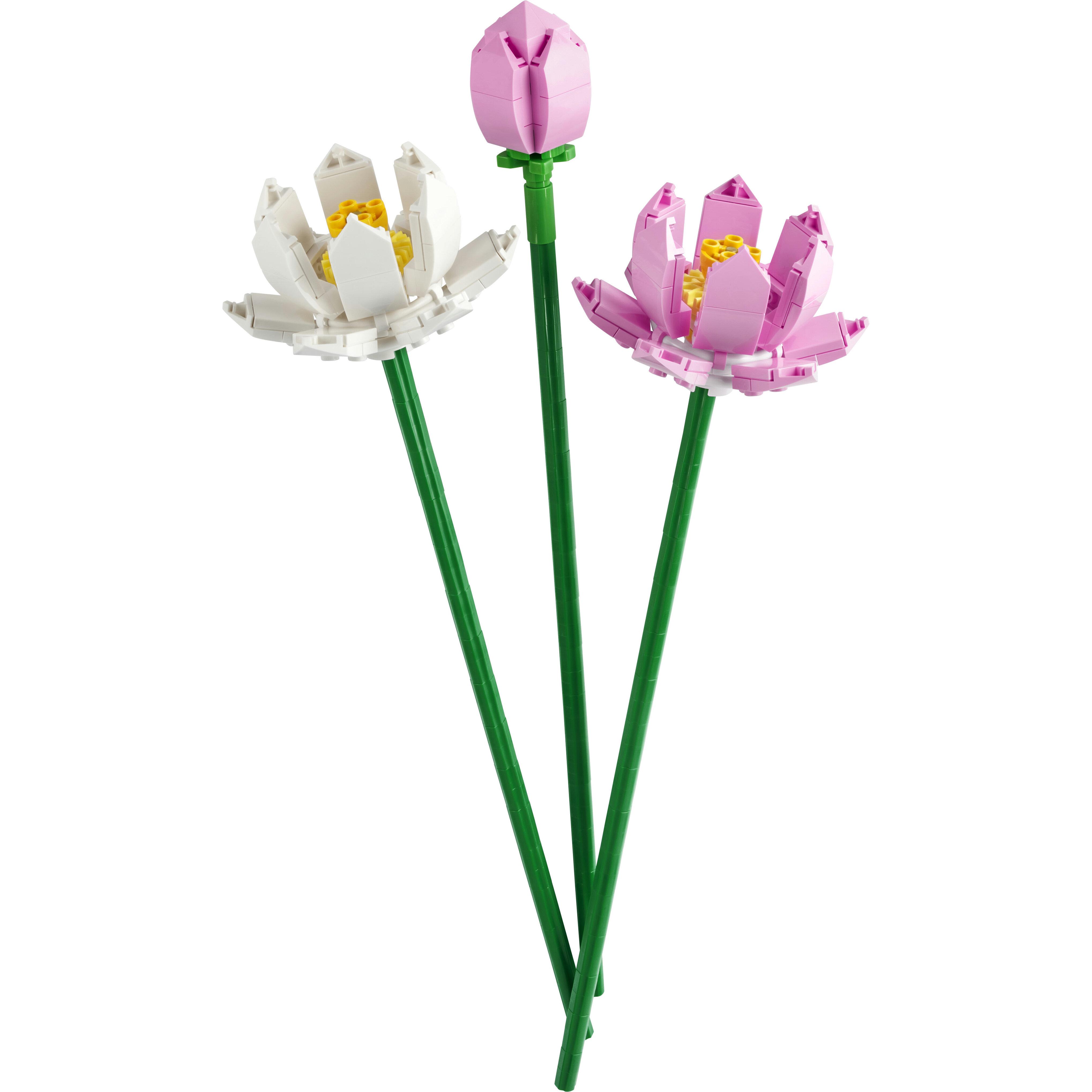 Voir la diapositive 2 : LEGO LEGO Botanicals 40647 Les Fleurs de Lotus - Jeu de construction dès 8 ans