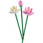 Voir la diapositive 2 : LEGO Creator 40647 Les Fleurs de Lotus, Kit de Construction pour Filles et Garçons Dès 8 Ans, avec 3 Fleurs Artificielles