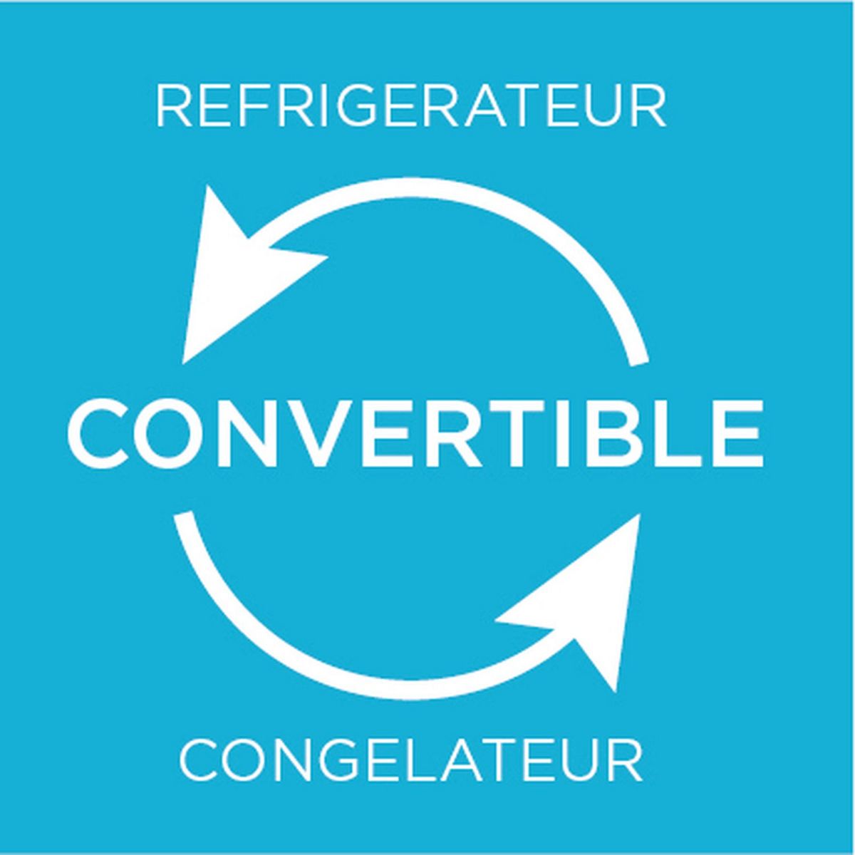 QILIVE Congélateur armoire Q.6379, 238 L, Froid ventilé No Frost, E