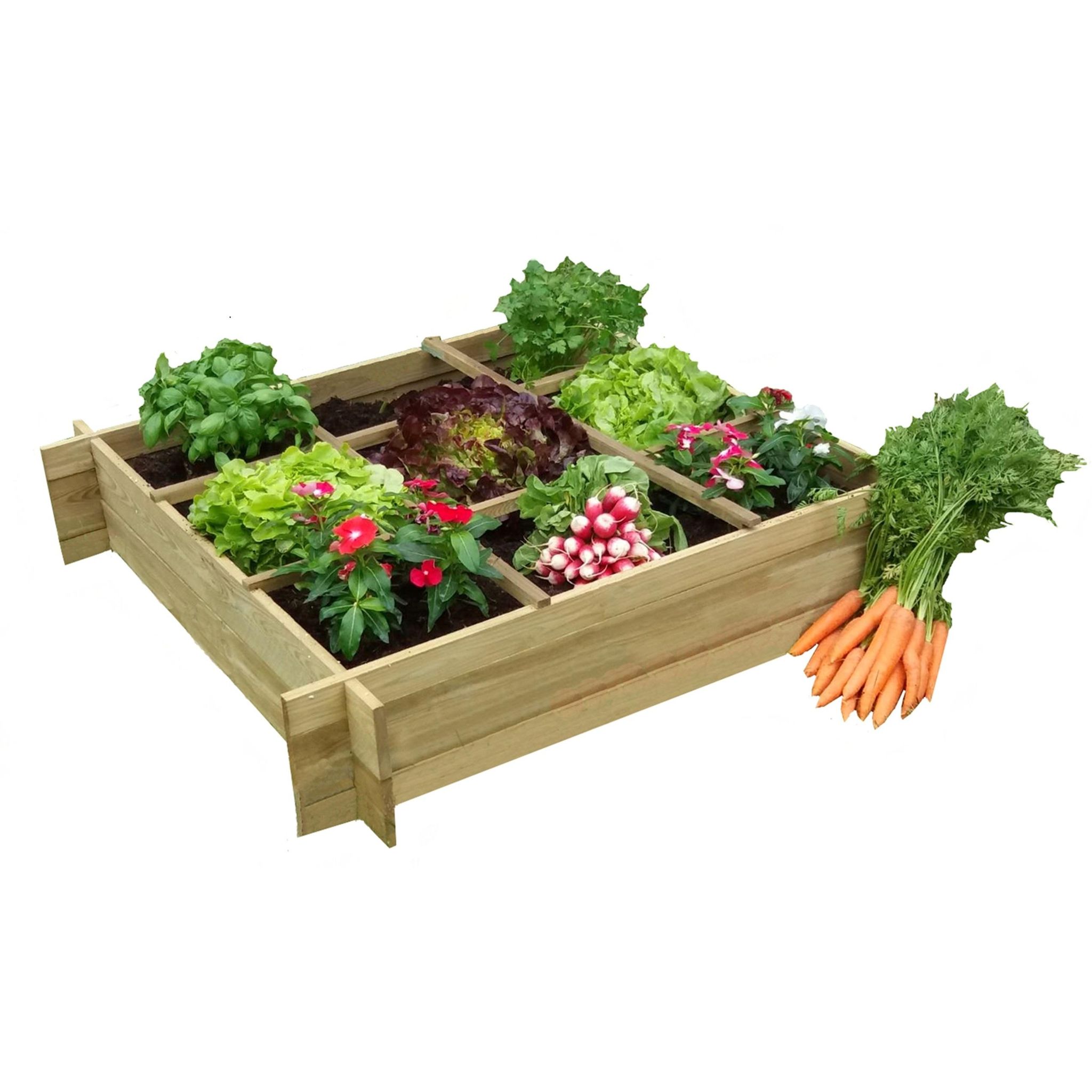GARDENSTAR Carré potager 80x80x20 cm epaisseur 12 mm en pin autoclavé