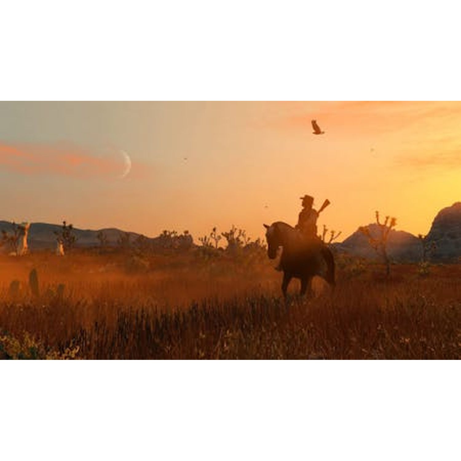 Voir la diapositive 4 : Red Dead Redemption Nintendo Switch