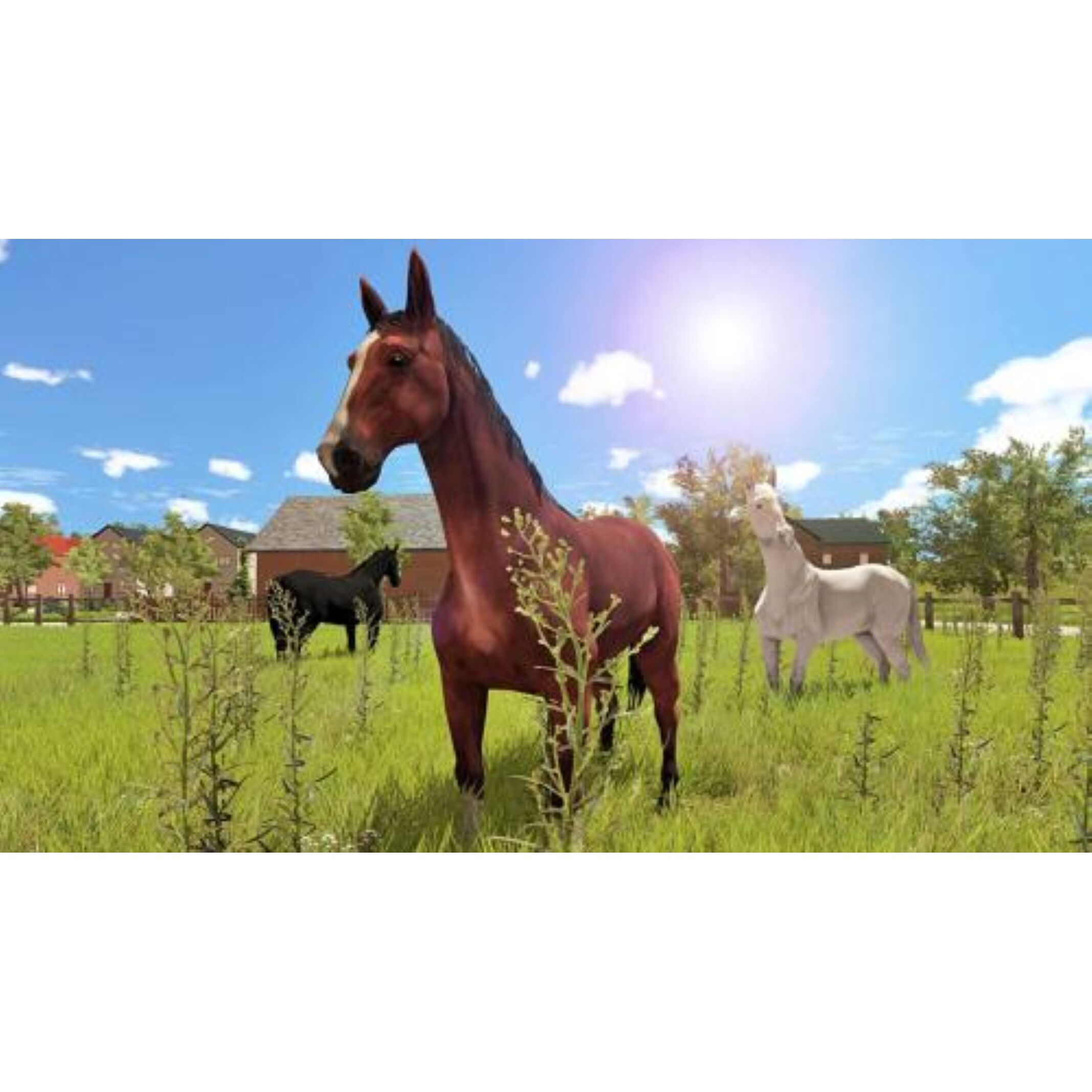 Voir la diapositive 3 : My Little Riding Champion Nintendo Switch - Code à Télécharger