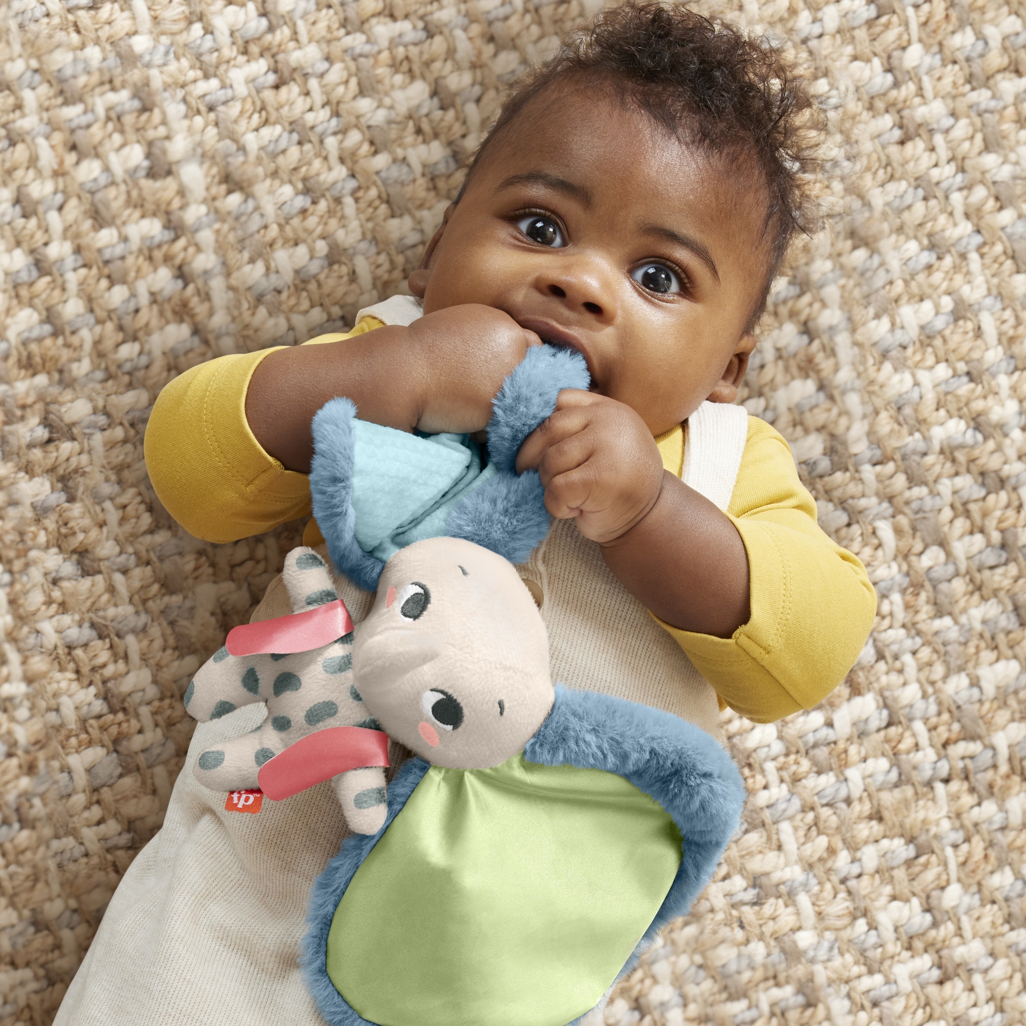 Voir la diapositive 12 : MATTEL Tembo, mon doudou Éléphant