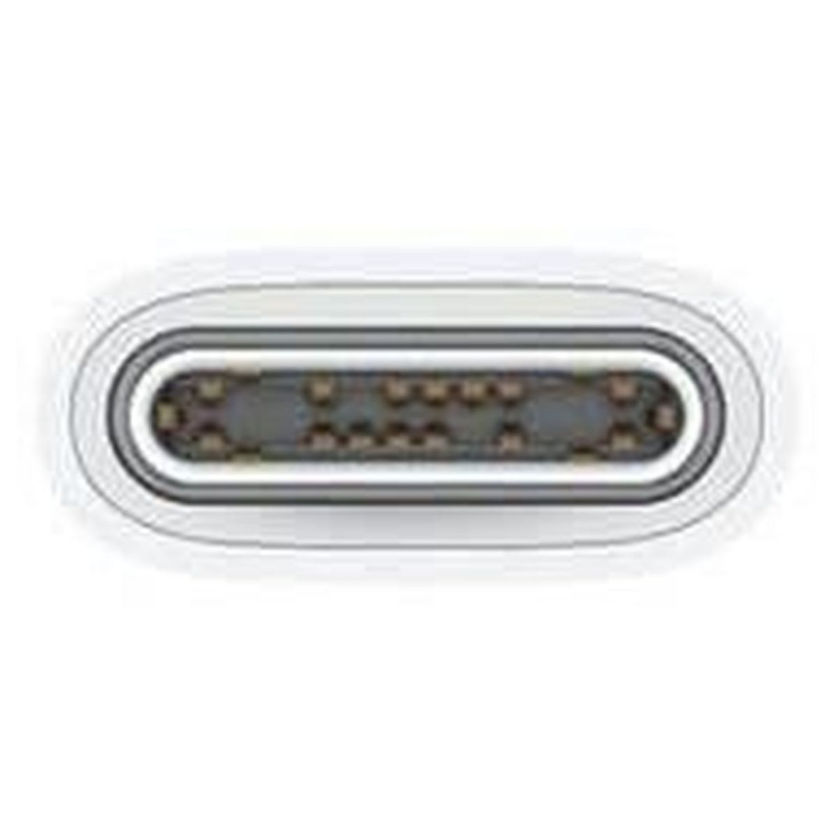 APPLE Câble de charge USB C / USB C - Longueur de câble 1m - Blanc