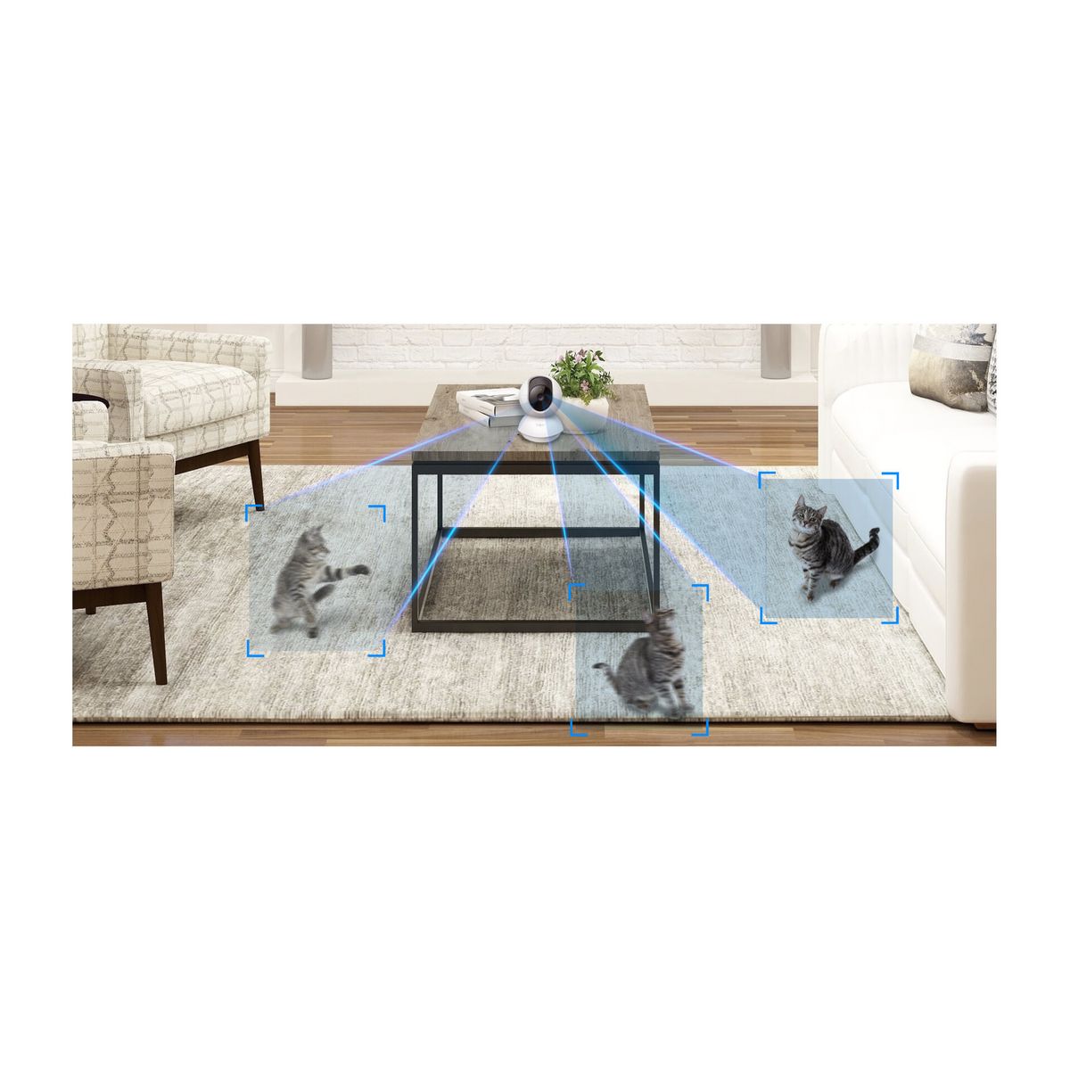 TP-LINK Caméra TAPO TC71 - Blanc