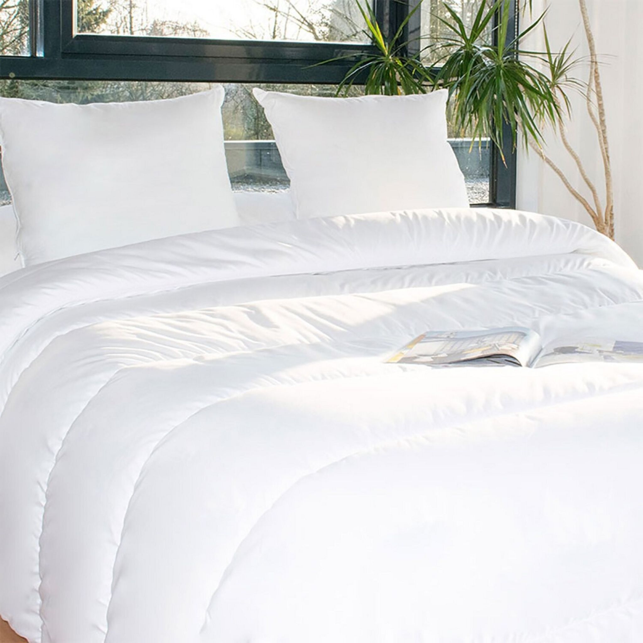 Voir la diapositive 1 : ACTUEL Pack couette tempérée en polyester 300 g/m²+ oreiller(s)