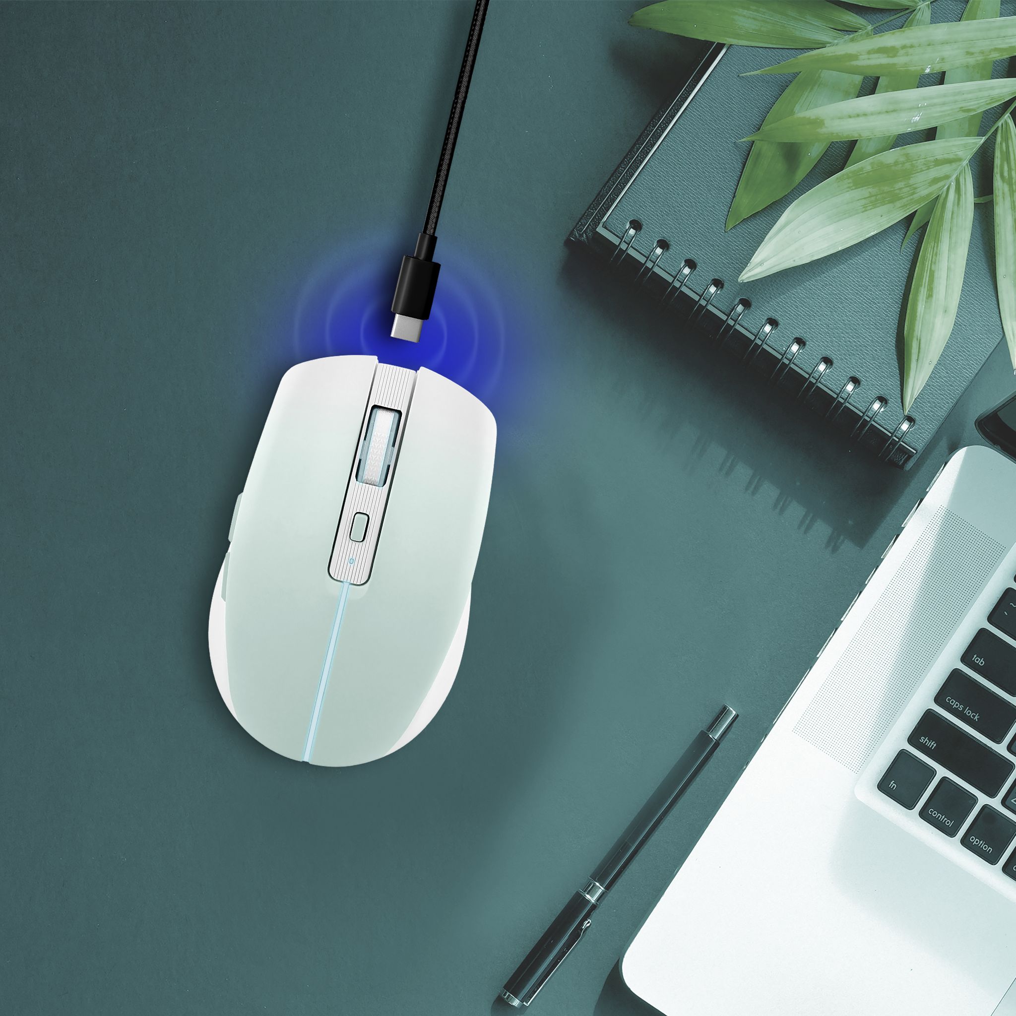 Voir la diapositive 9 : TNB Souris sans fil - Bleu