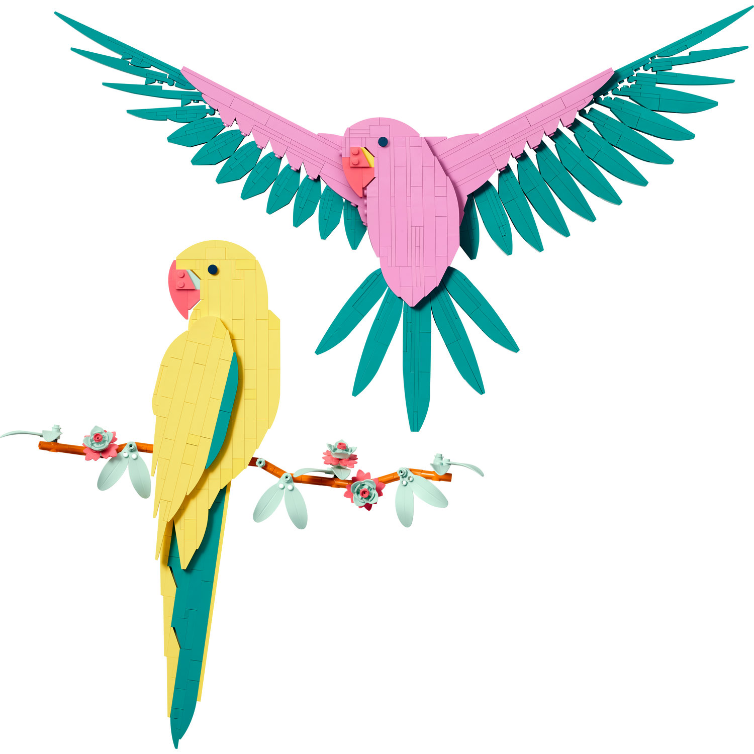 Voir la diapositive 2 : LEGO Art 31211 La Collection Faune – Les Perroquets Ara, Décoration Murale avec Motif d'Oiseau, Activité Manuelle