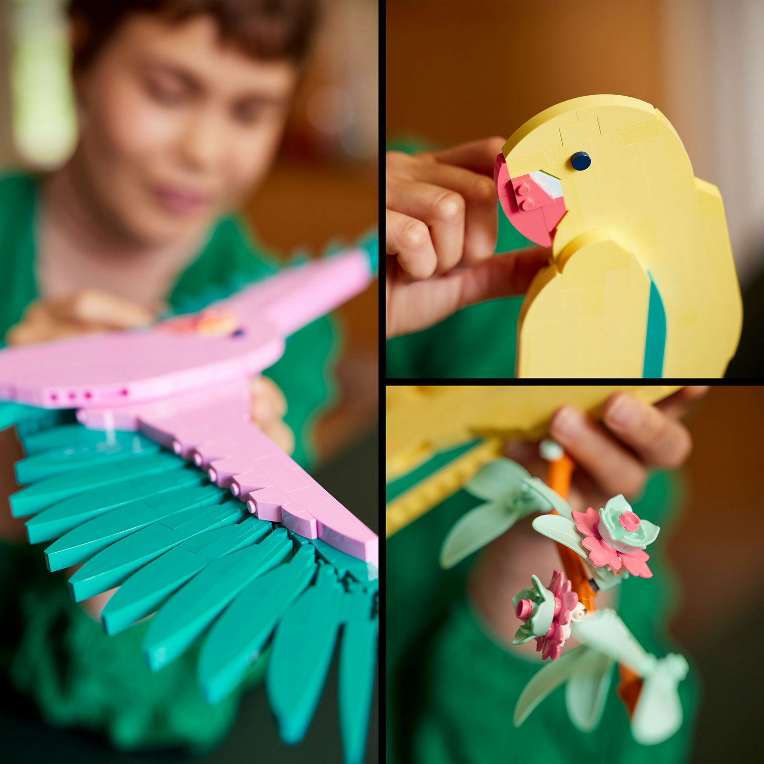 Voir la diapositive 5 : LEGO Art 31211 La Collection Faune – Les Perroquets Ara, Décoration Murale avec Motif d'Oiseau, Activité Manuelle