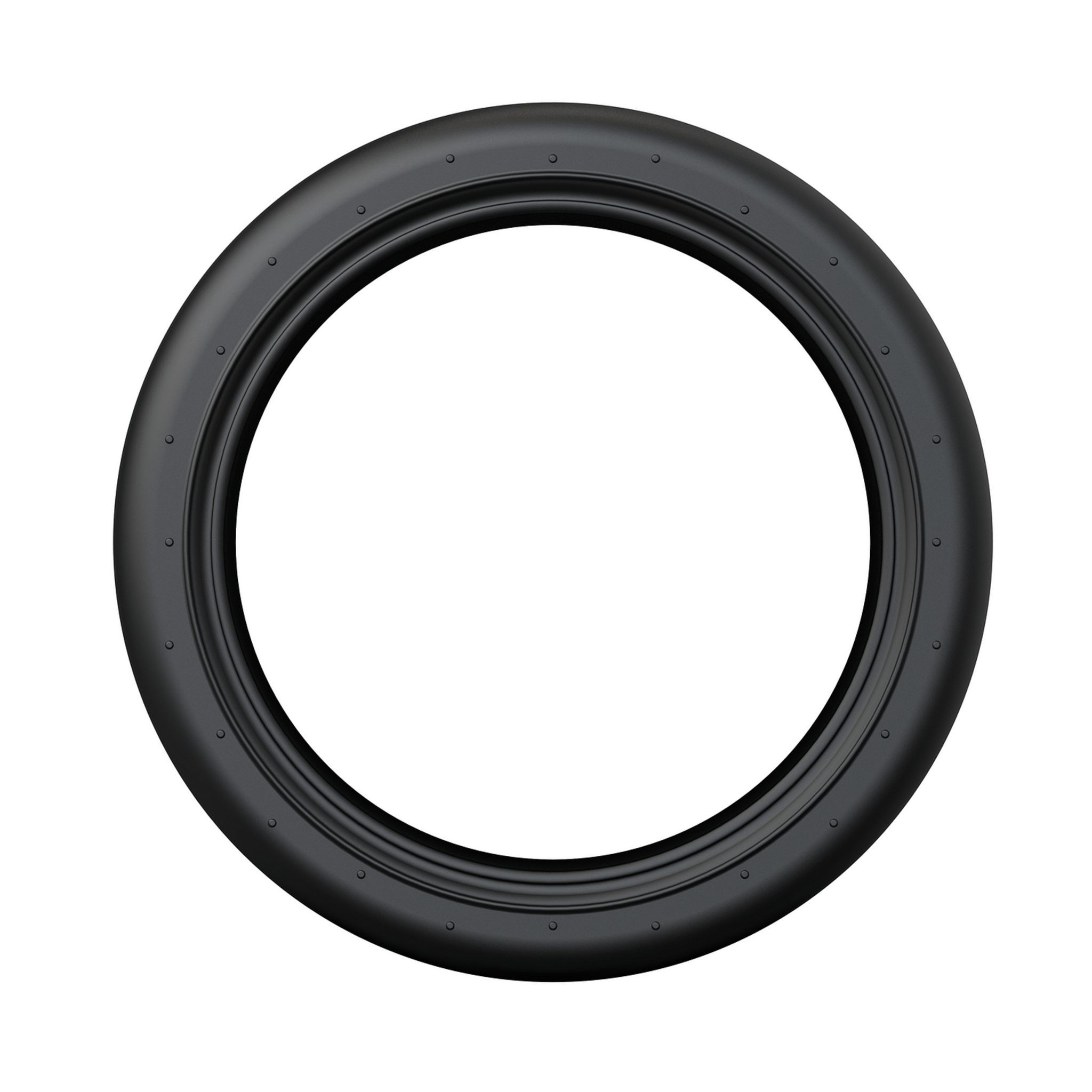 Voir la diapositive 6 : CASR Roue Trotti x1