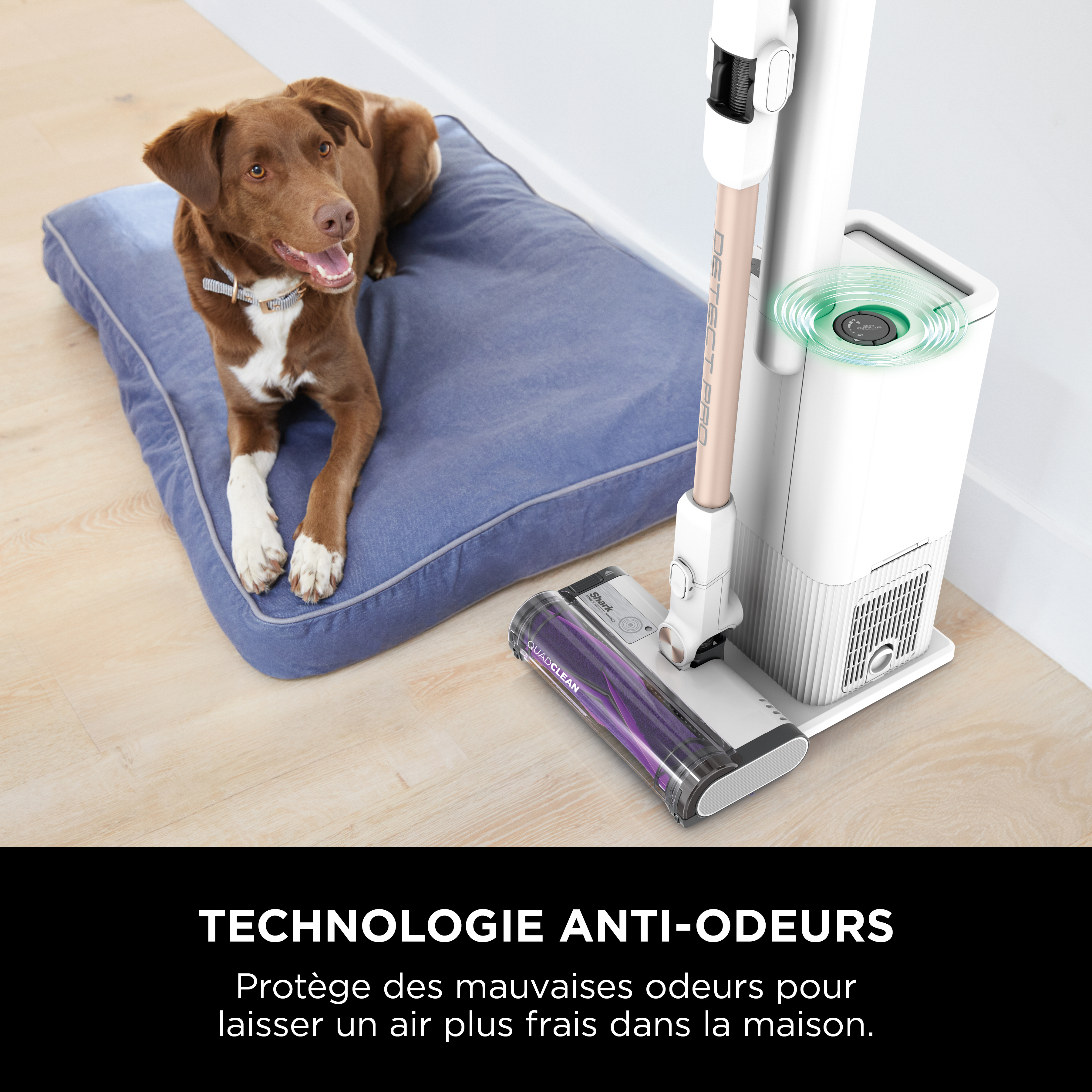 Voir la diapositive 8 : SHARK Aspirateur balai Detect Pro IW3611EU - Blanc