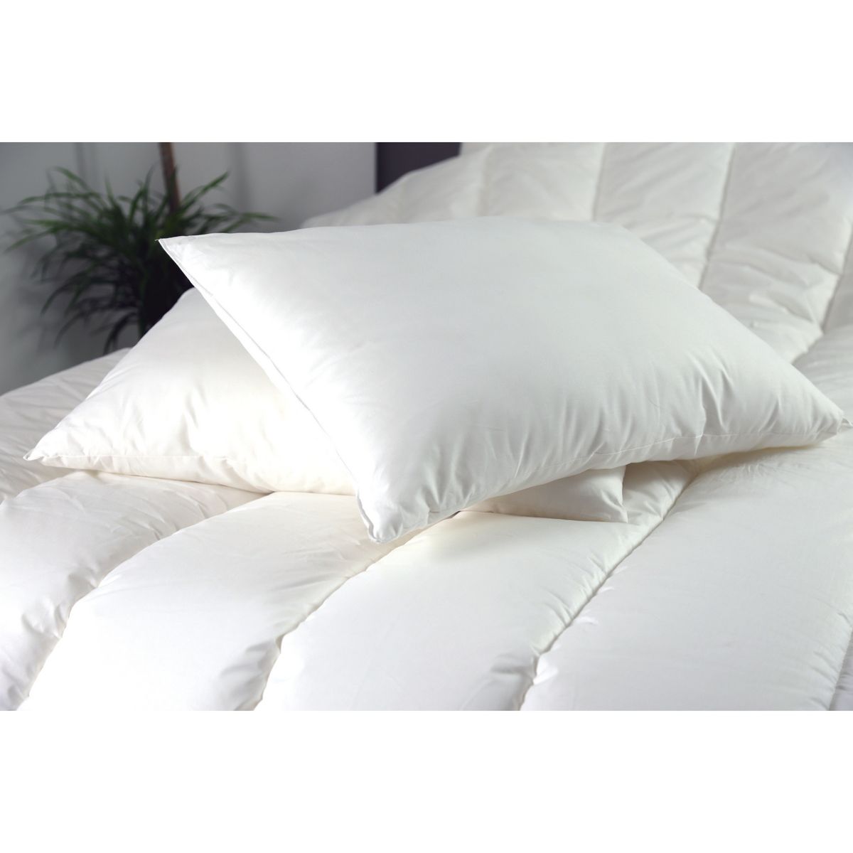 DODO Lot de 2 oreillers confort moelleux en microfibre recyclé RESPONSABLE & CONFORTABLE