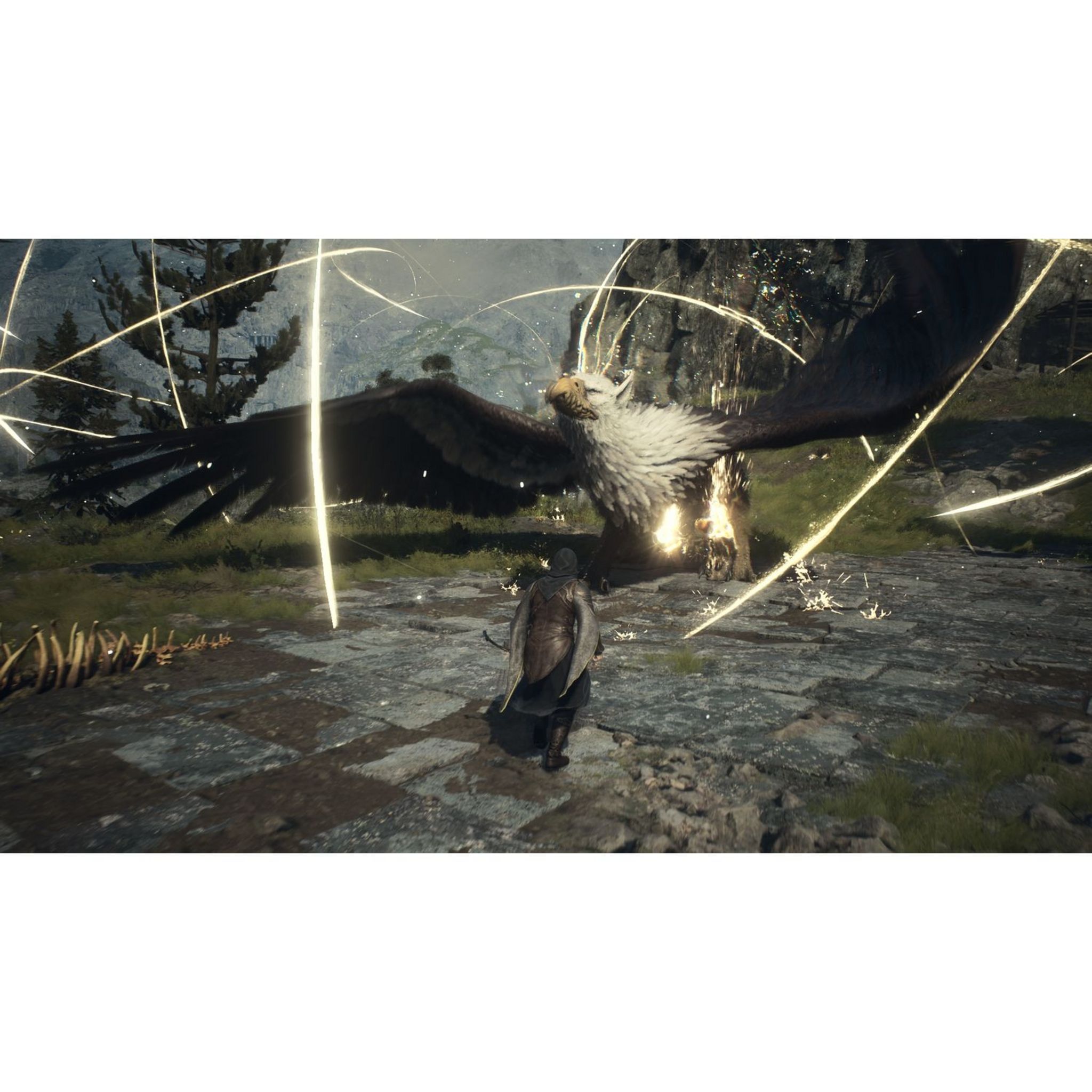 Voir la diapositive 3 : Dragon's Dogma 2 PS5