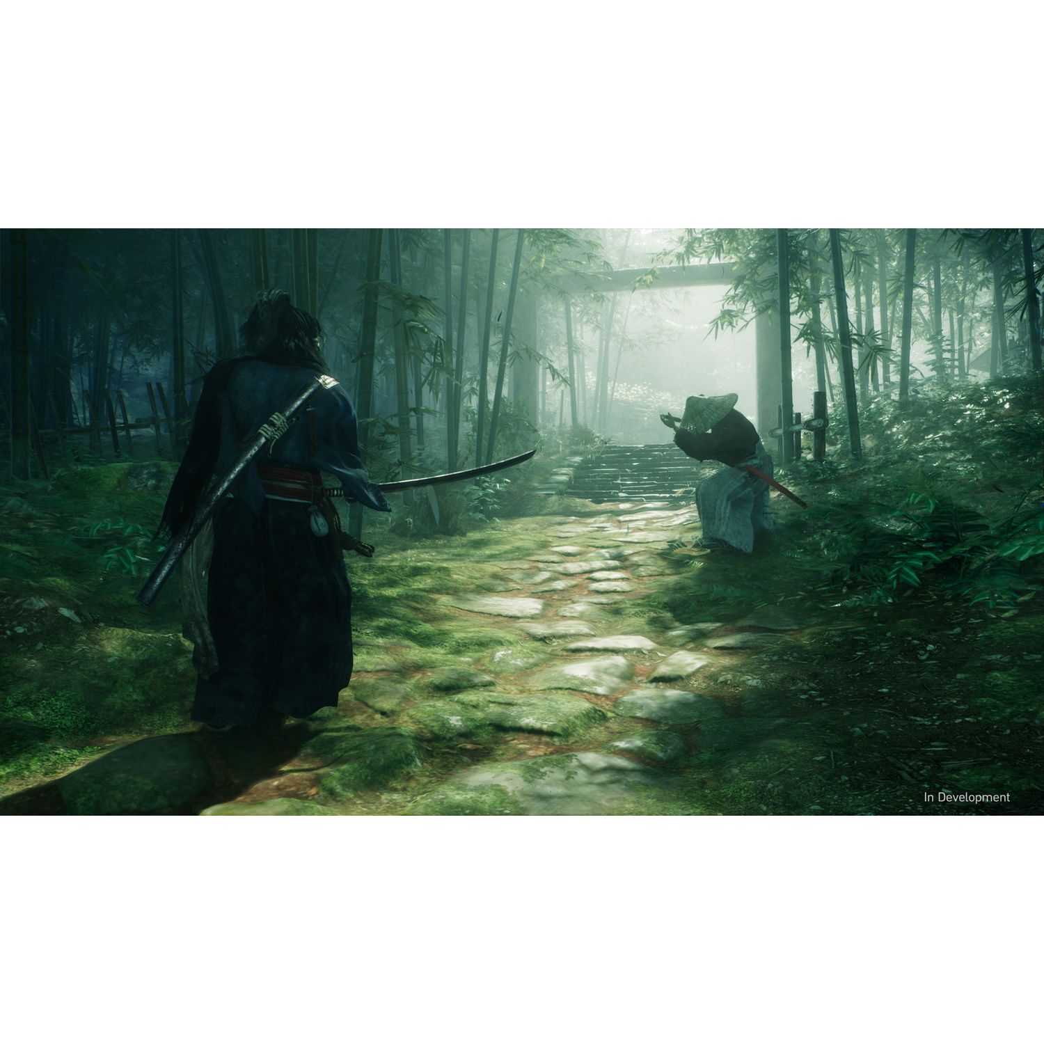 Voir la diapositive 5 : Rise of the Ronin PS5
