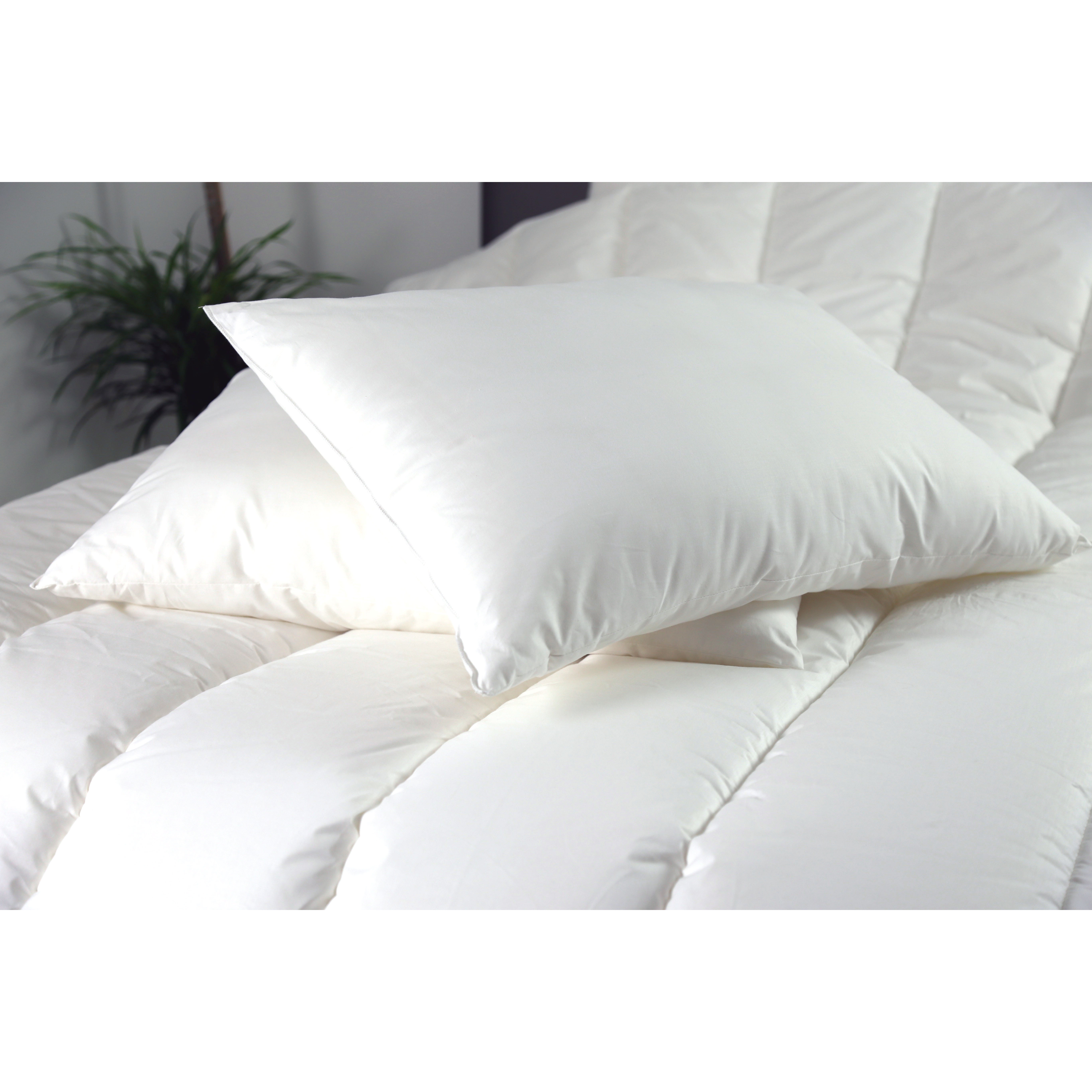 Voir la diapositive 2 : DODO DODO Lot de 2 oreillers confort moelleux en microfibre toucher peau de pêche BULLE DE REVES