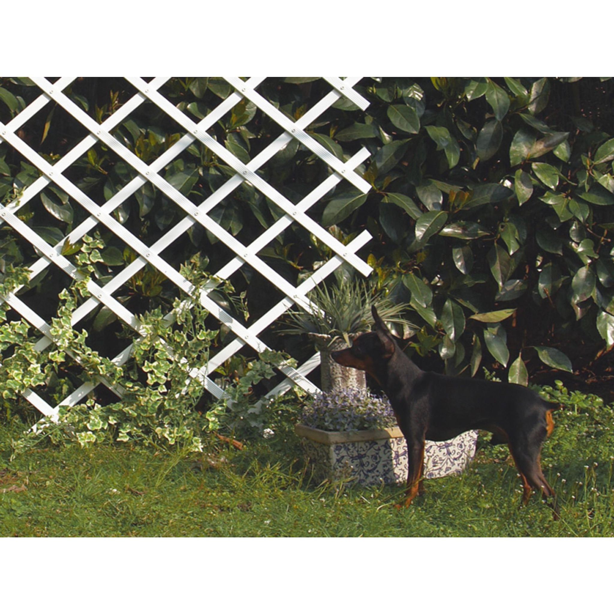 Trelliflex 0,5x1,5mx12