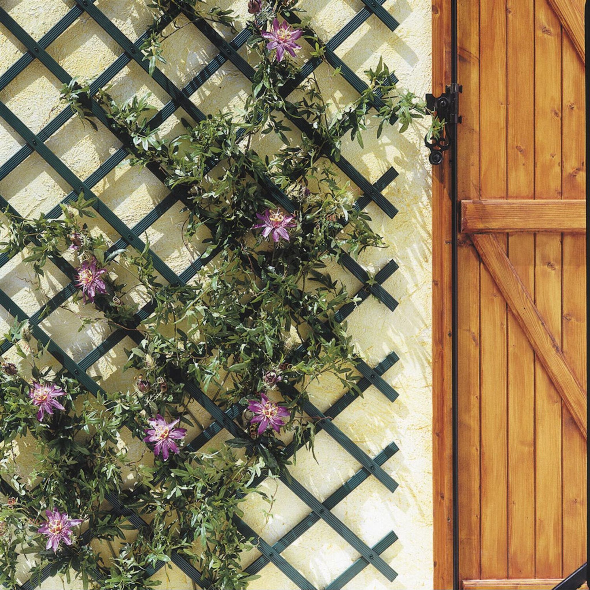 Trelliflex 0,5x1,5mx12