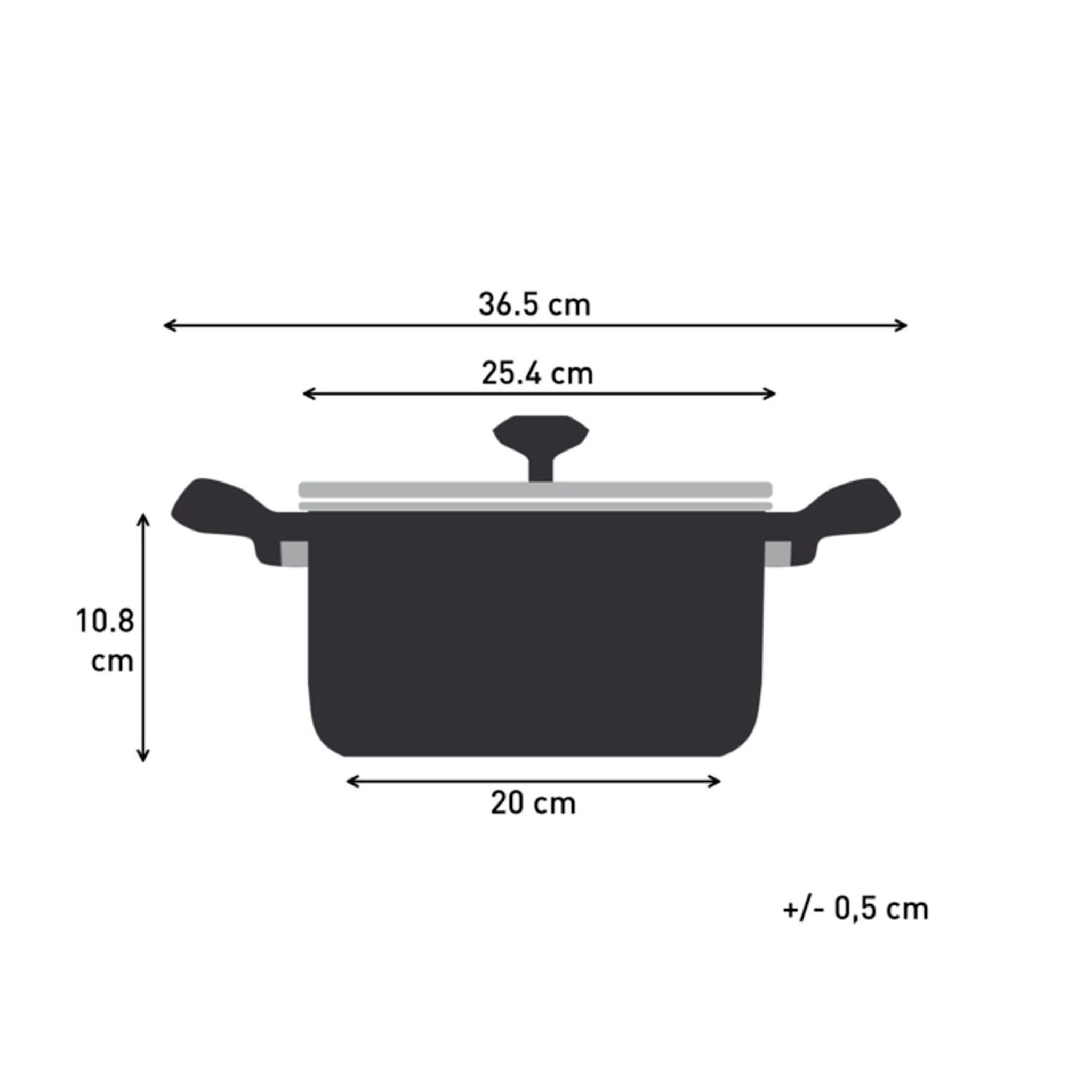 Voir la diapositive 7 : TEFAL Faitout 24 cm céramique tous feux dont induction INTENS
