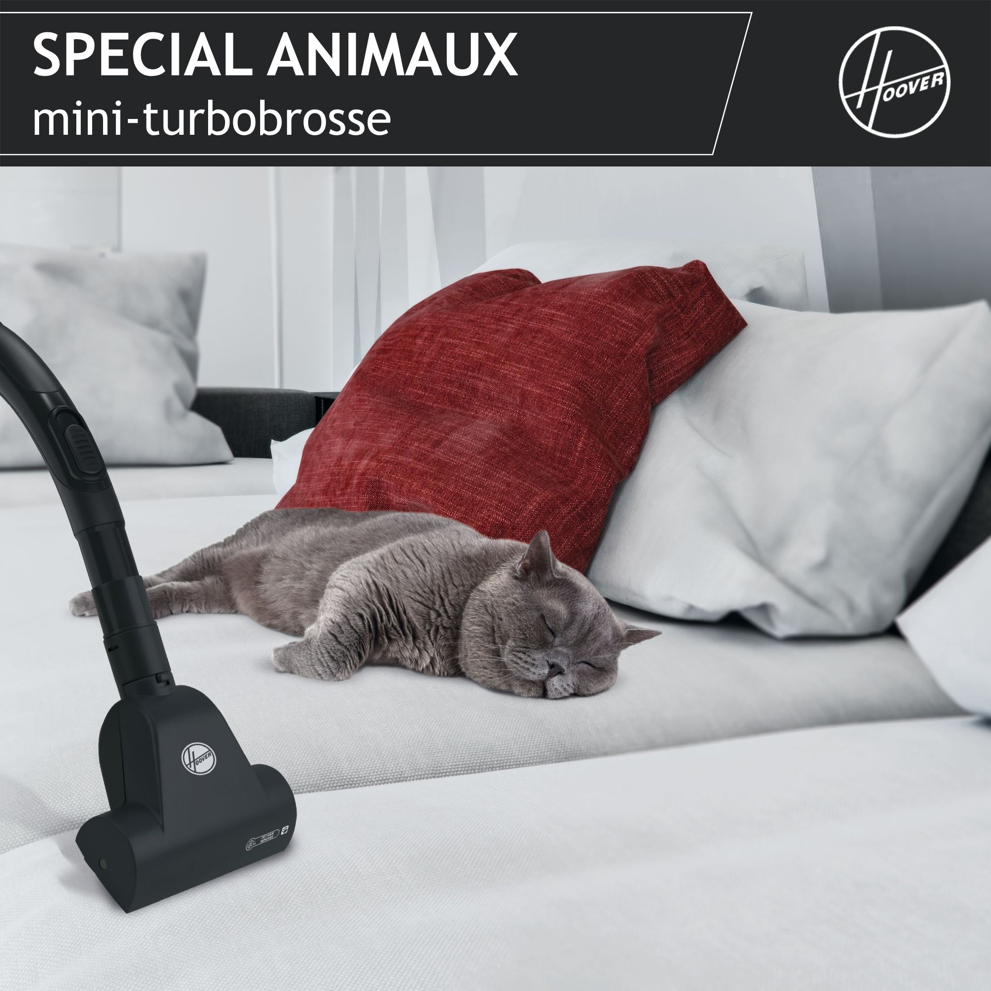 Voir la diapositive 4 : HOOVER Aspirateur traîneau TXL21PET 011