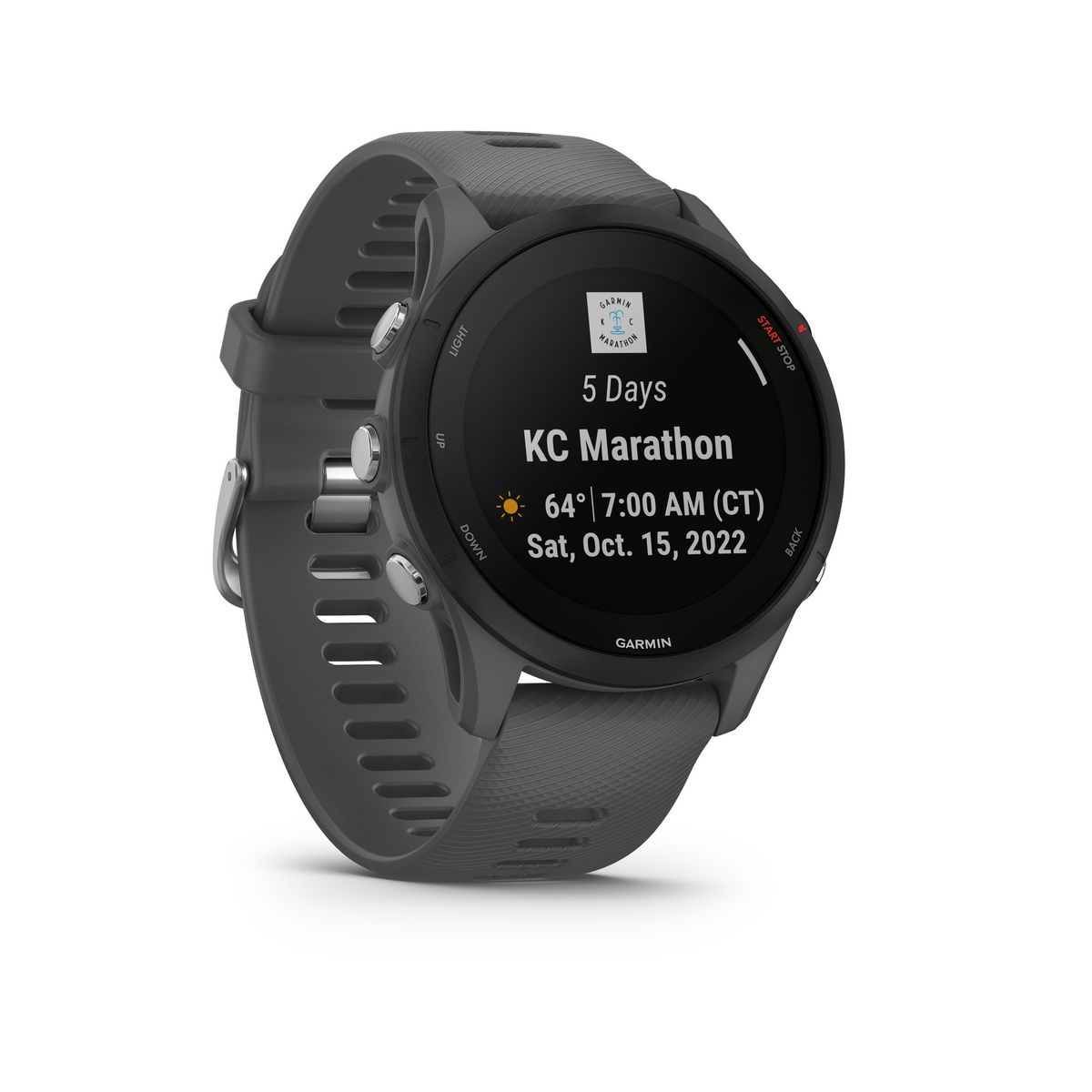 GARMIN Montre connectée ForeRunner 255 - Gris