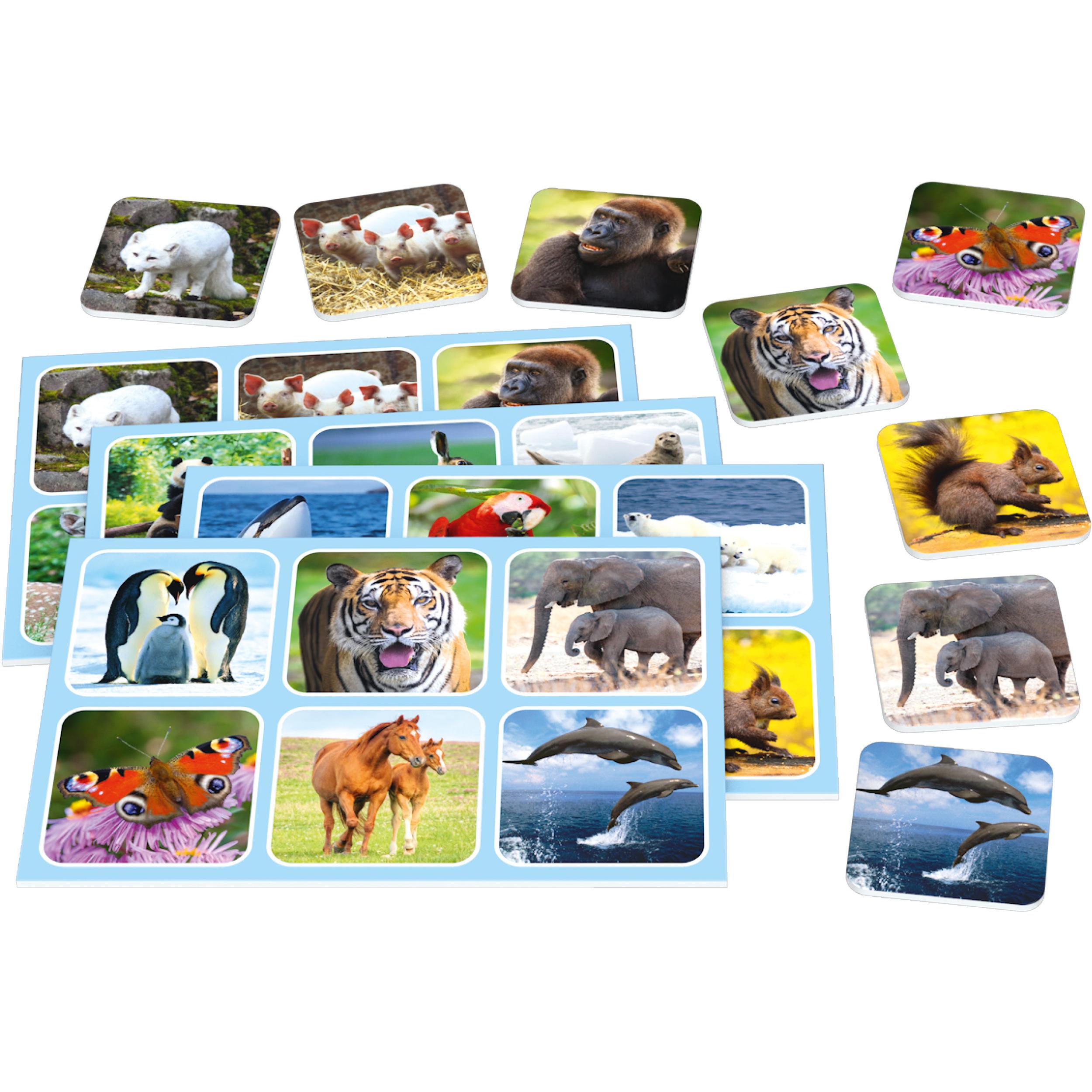 Voir la diapositive 2 : SCHMIDT Jeu Zoo Lotto