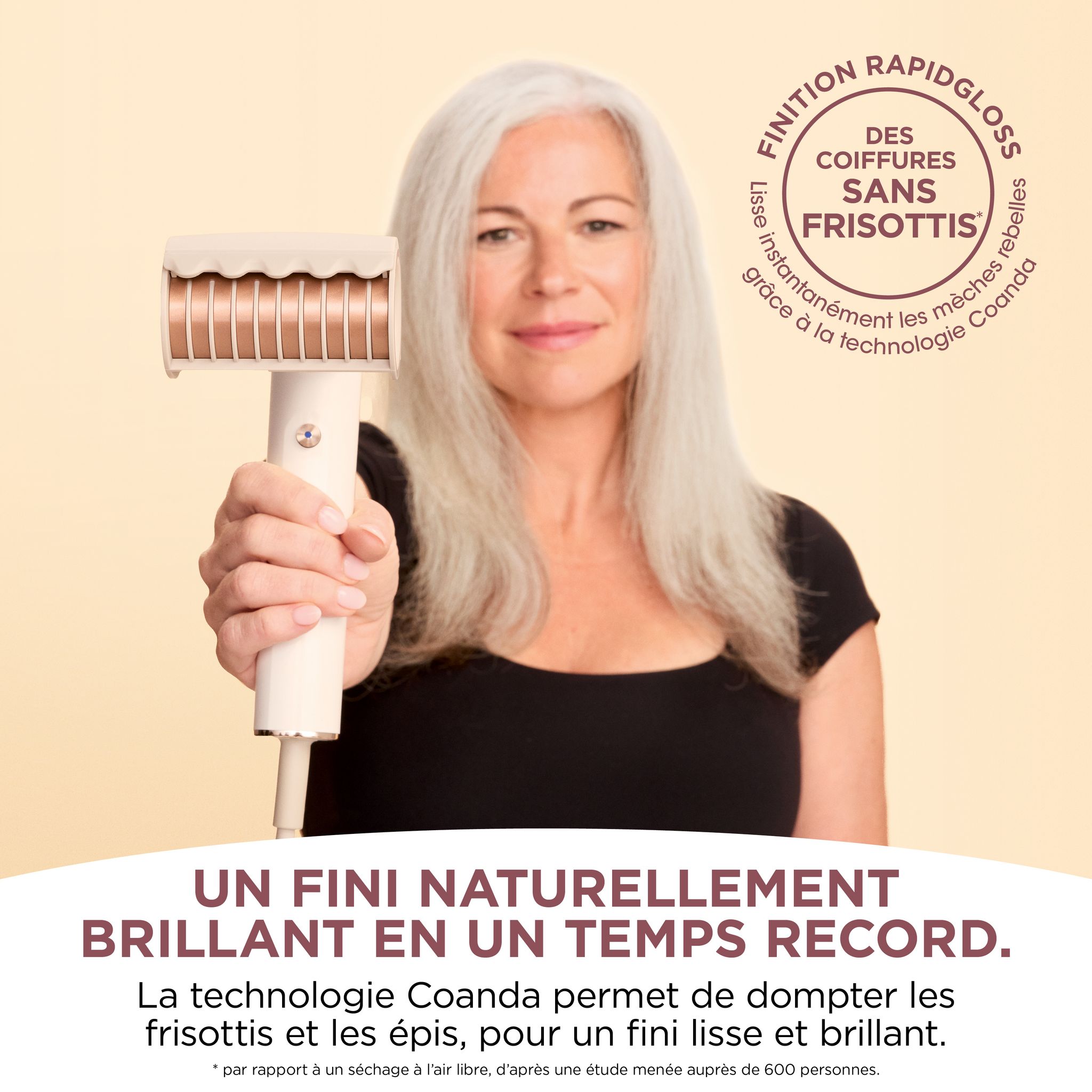 Voir la diapositive 6 : SHARK Sèche cheveux SPEEDSTYLE HD333EU - Blanc