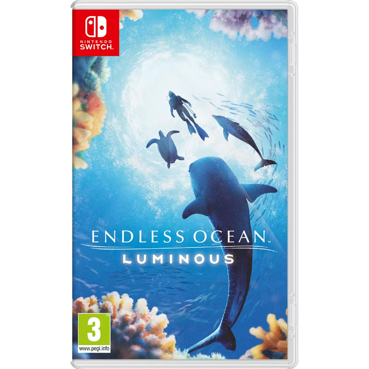 Endless Ocean Luminous Nintendo witch