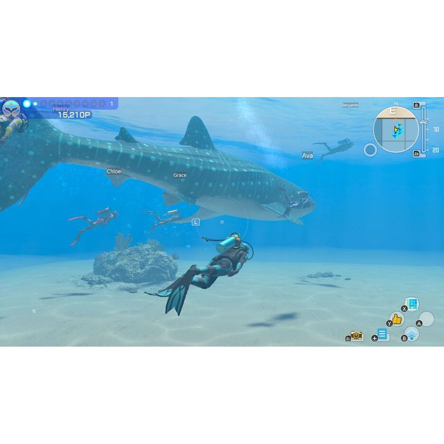 Voir la diapositive 2 : Endless Ocean Luminous Nintendo witch