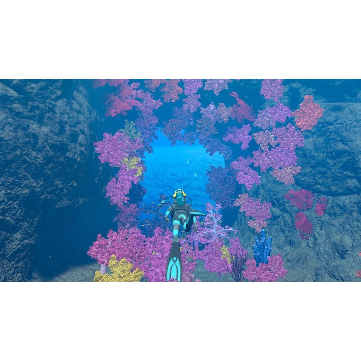 Voir la diapositive 3 : Endless Ocean Luminous Nintendo witch