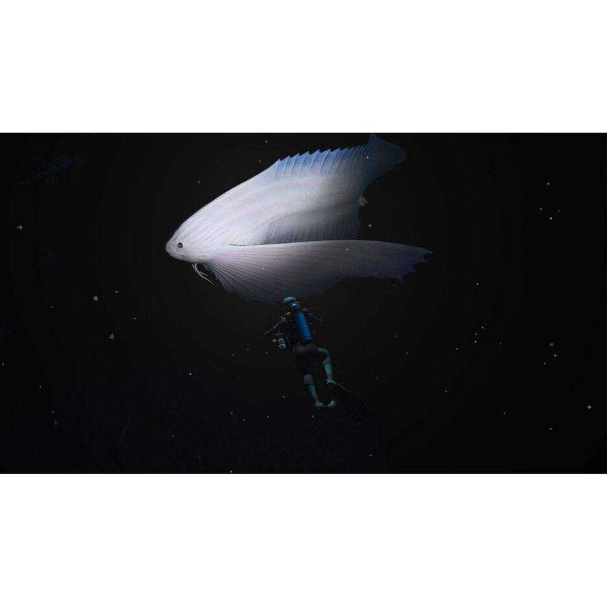 Endless Ocean Luminous Nintendo witch