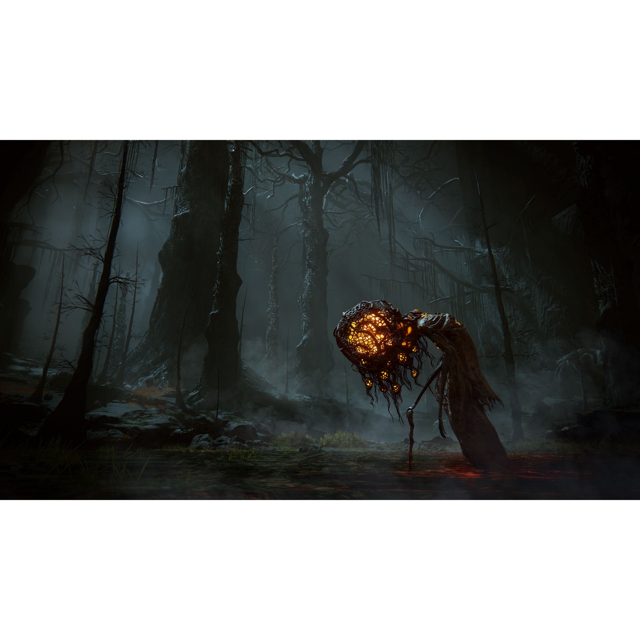 Voir la diapositive 2 : Elden Ring: Shadow of the Erdtree PS5