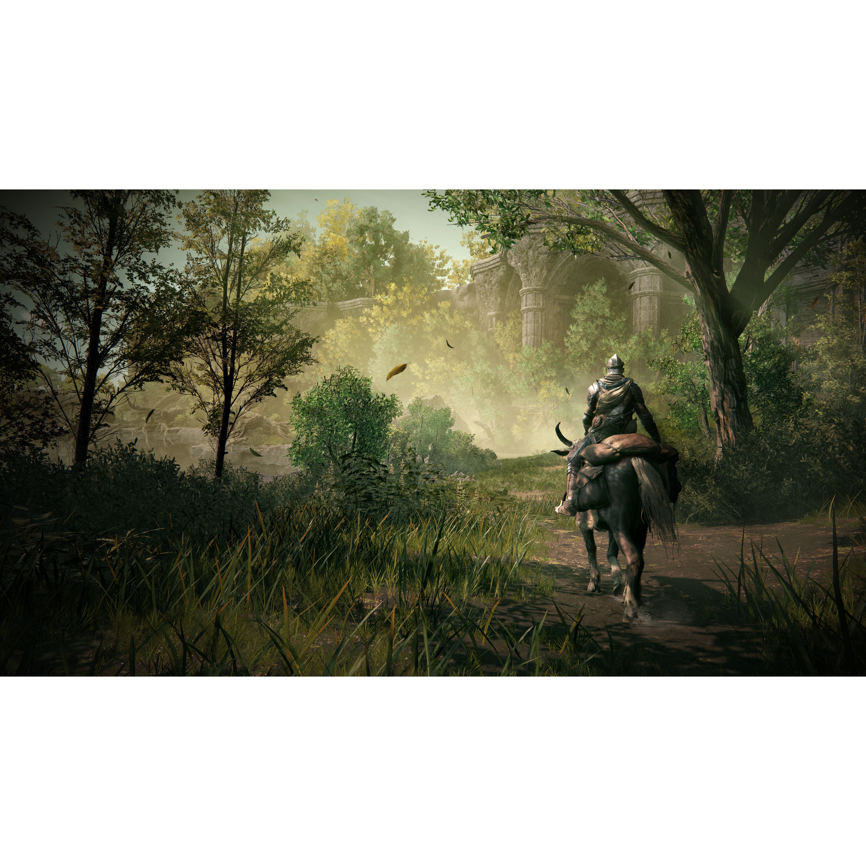 Voir la diapositive 6 : Elden Ring: Shadow of the Erdtree PS5