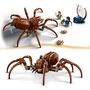 Voir la diapositive 4 : LEGO Harry Potter 76434 - Aragog dans la Forêt interdite - Set avec des Araignées - Figurines de Créatures Magiques - 2 Minifigurines des Personnages